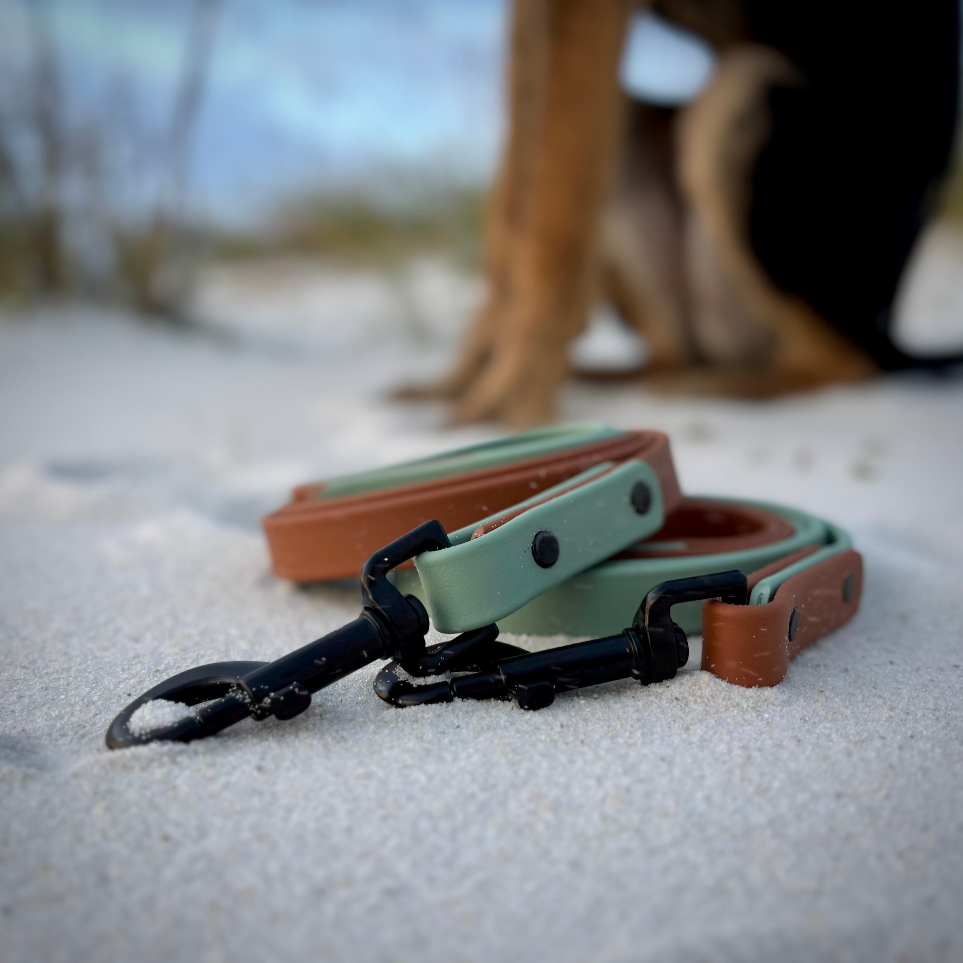 Two-Tone Dog Leash: Waterproof & Odor-Free Leash, Custom Colors