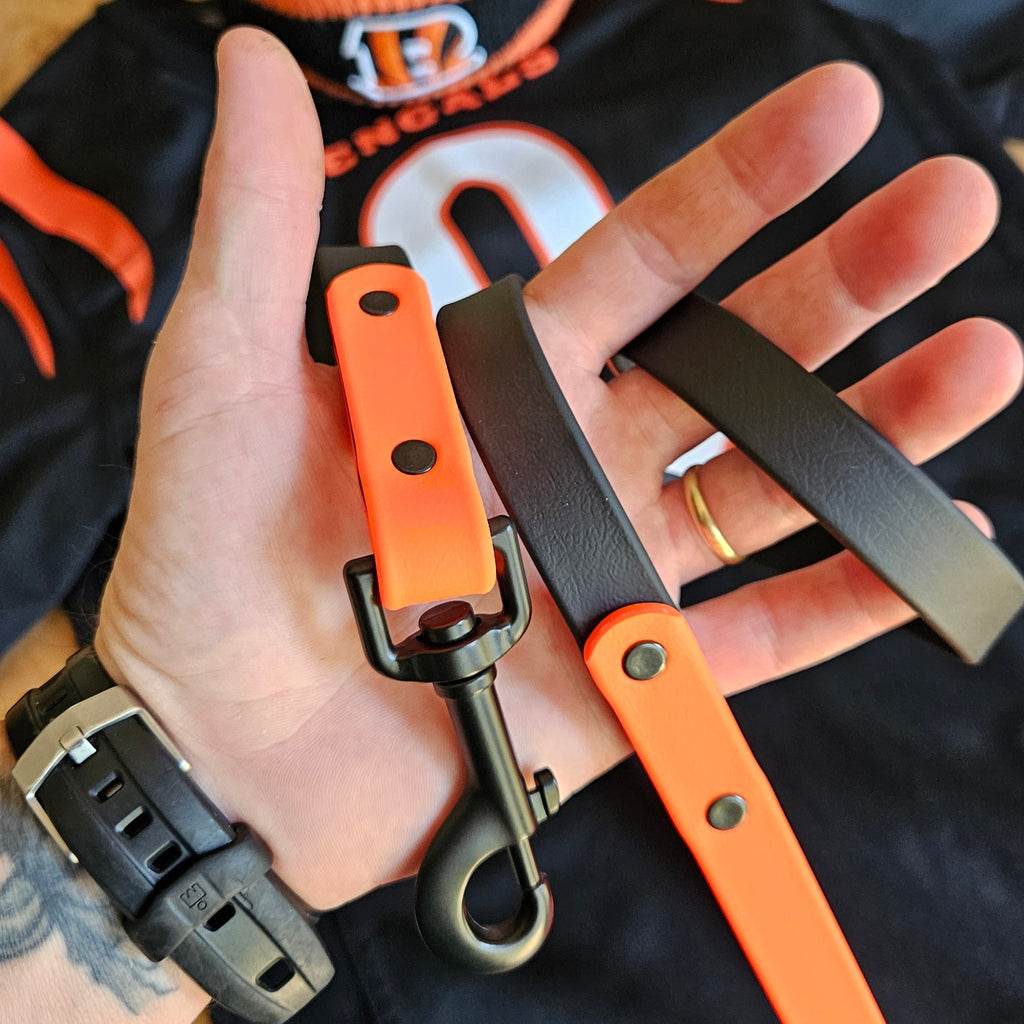 Two-Tone Dog Leash: Waterproof & Odor-Free Leash, Custom Colors