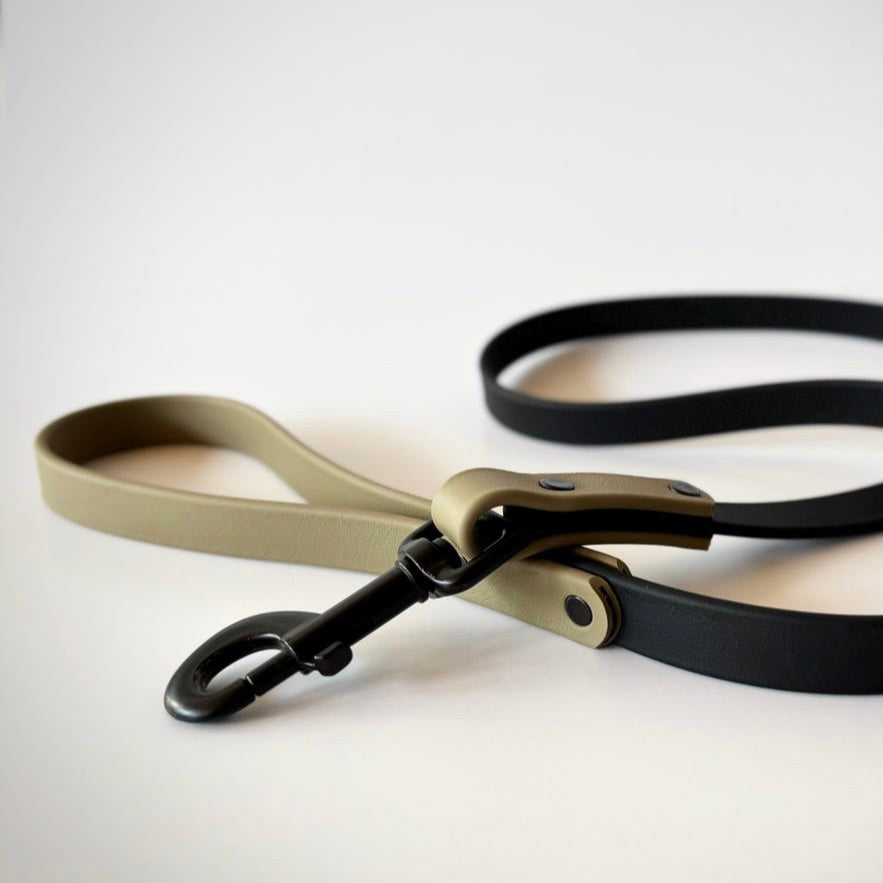 Two-Tone Dog Leash: Waterproof & Odor-Free Leash, Custom Colors