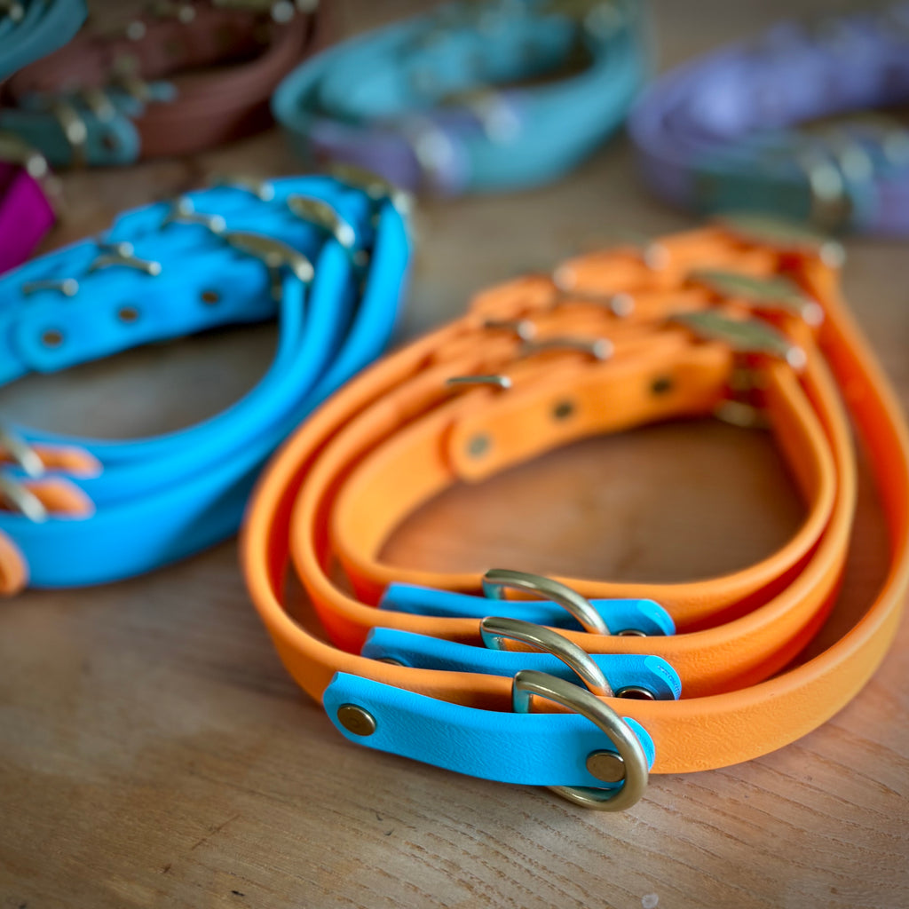 Two-Tone 3/4 Inch Dog Collar: Custom Colors, Waterproof, Odor-free, Biothane