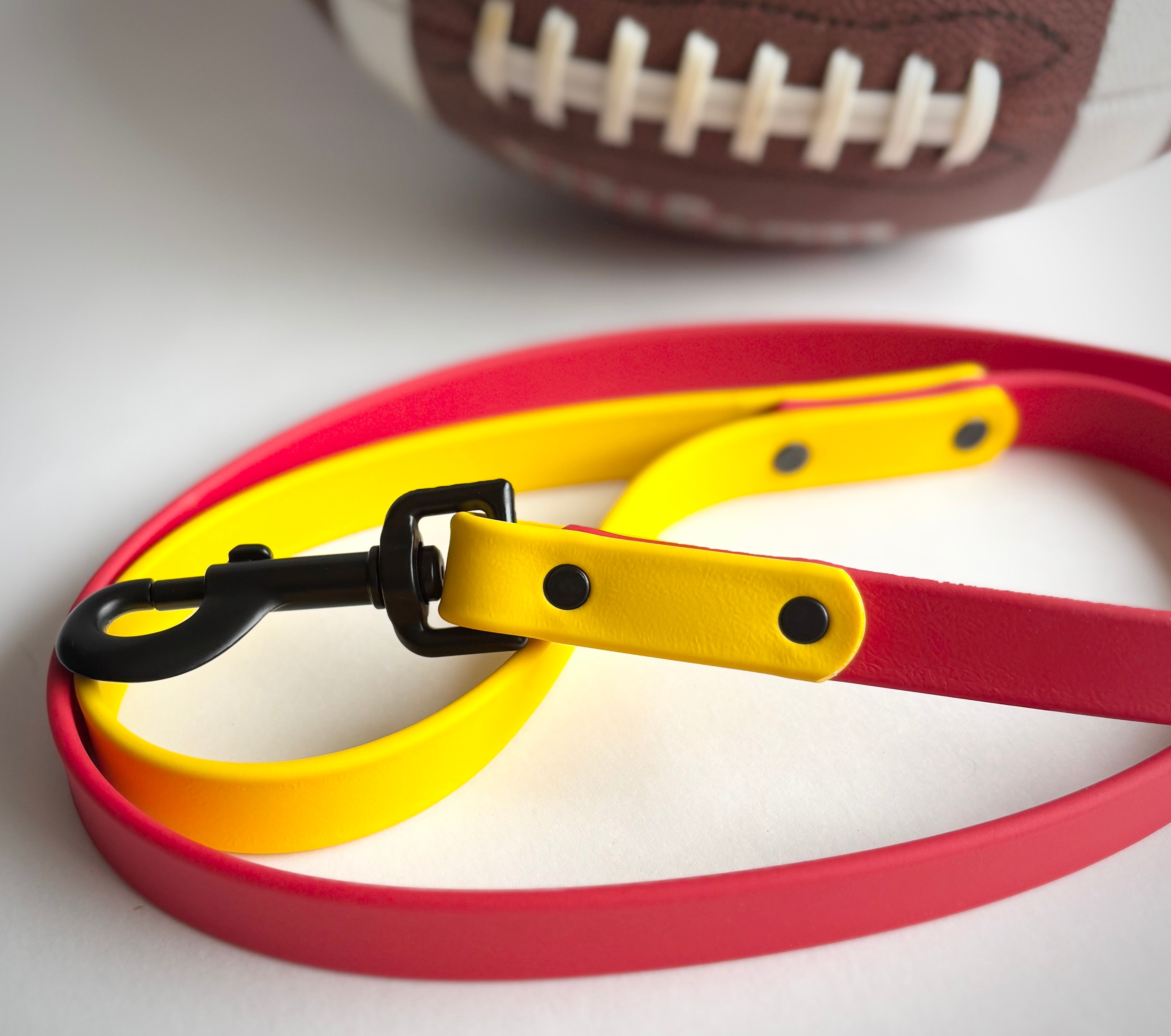 Two-Tone Dog Leash: Waterproof & Odor-Free Leash, Custom Colors