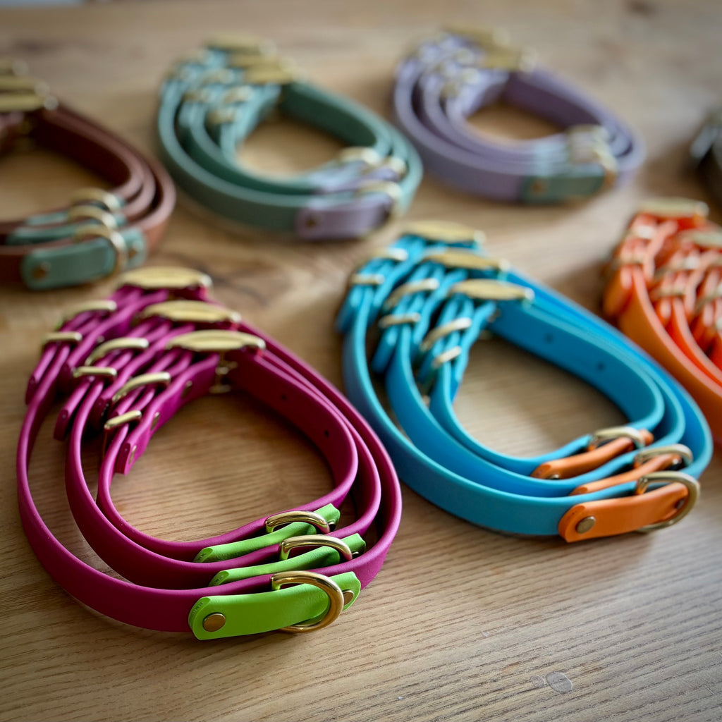 Two-Tone 3/4 Inch Dog Collar: Custom Colors, Waterproof, Odor-free, Biothane