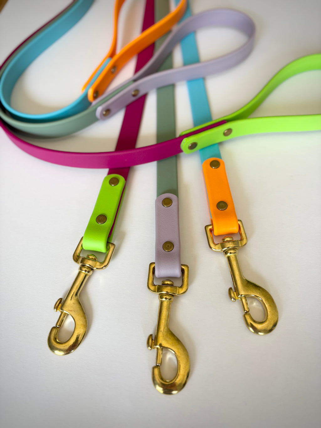 Two-Tone Dog Leash: Waterproof & Odor-Free Leash, Custom Colors