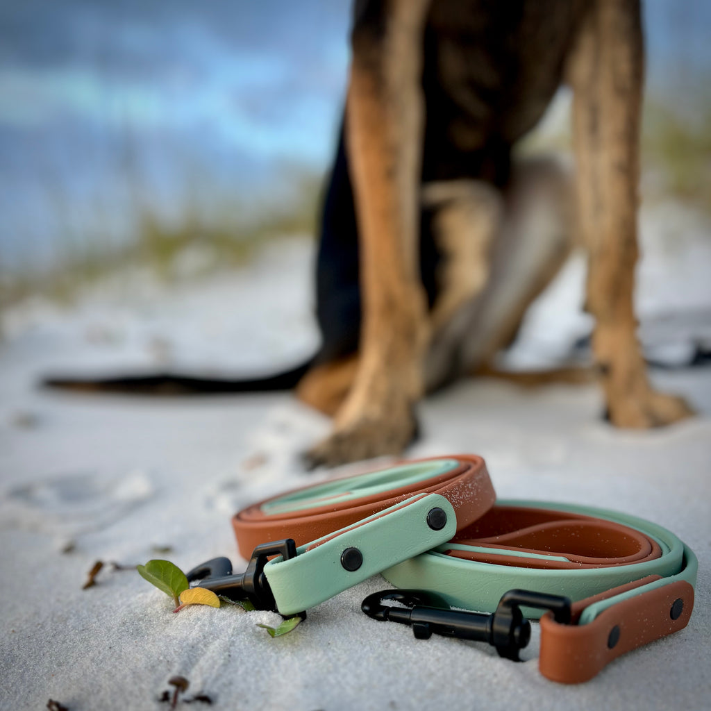 Two-Tone Dog Leash: Waterproof & Odor-Free Leash, Custom Colors