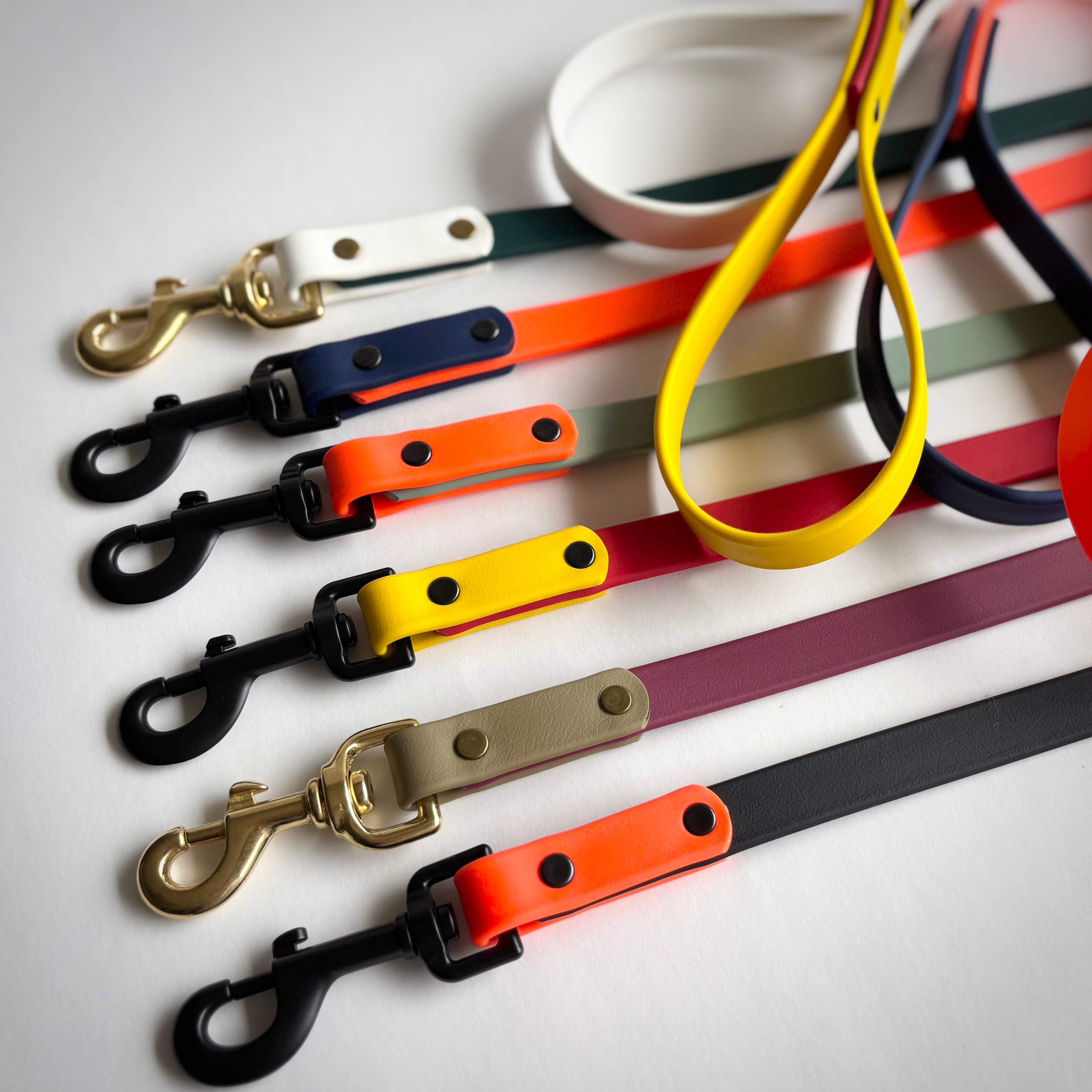 Two-Tone Dog Leash: Waterproof & Odor-Free Leash, Custom Colors