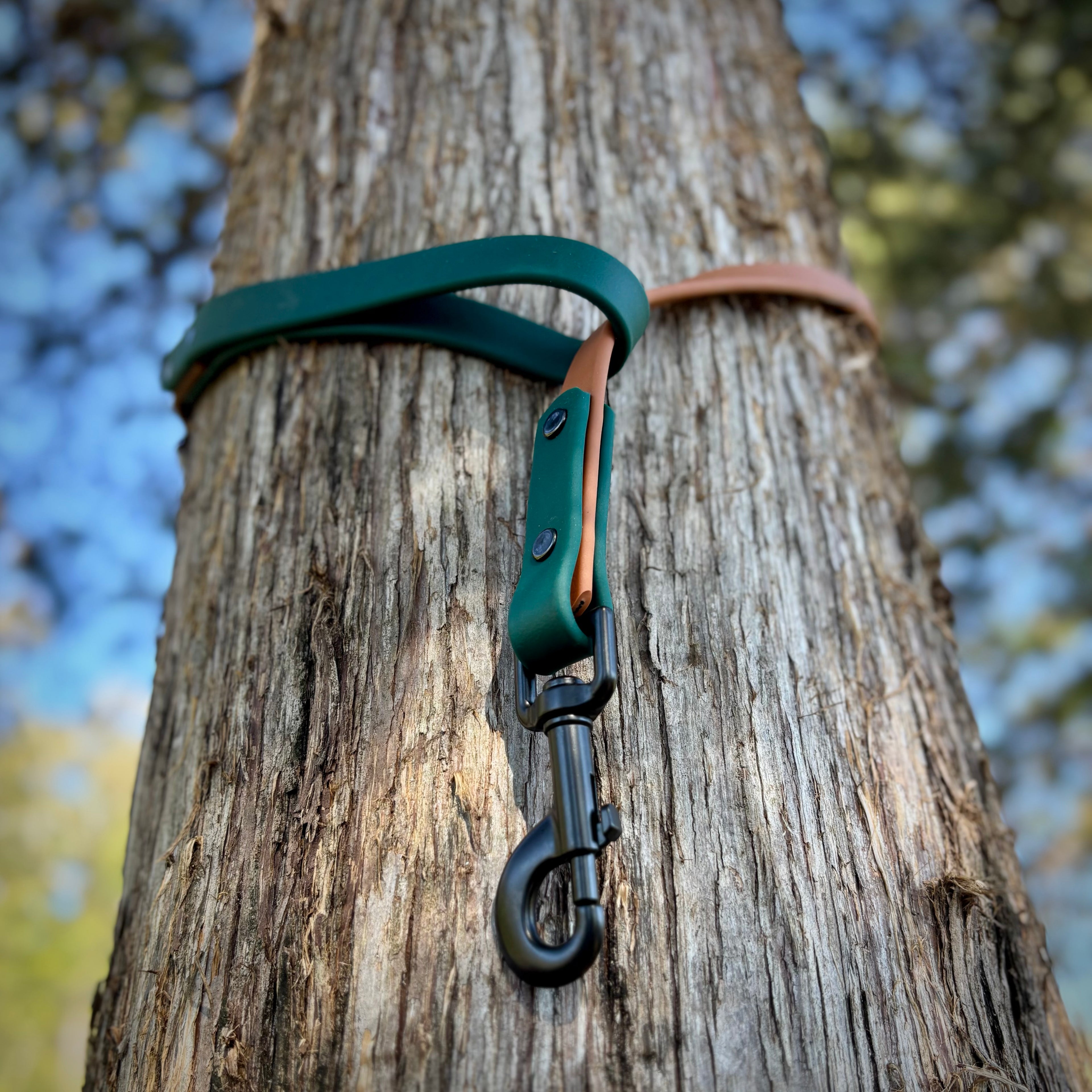 Two-Tone Dog Leash: Waterproof & Odor-Free Leash, Custom Colors