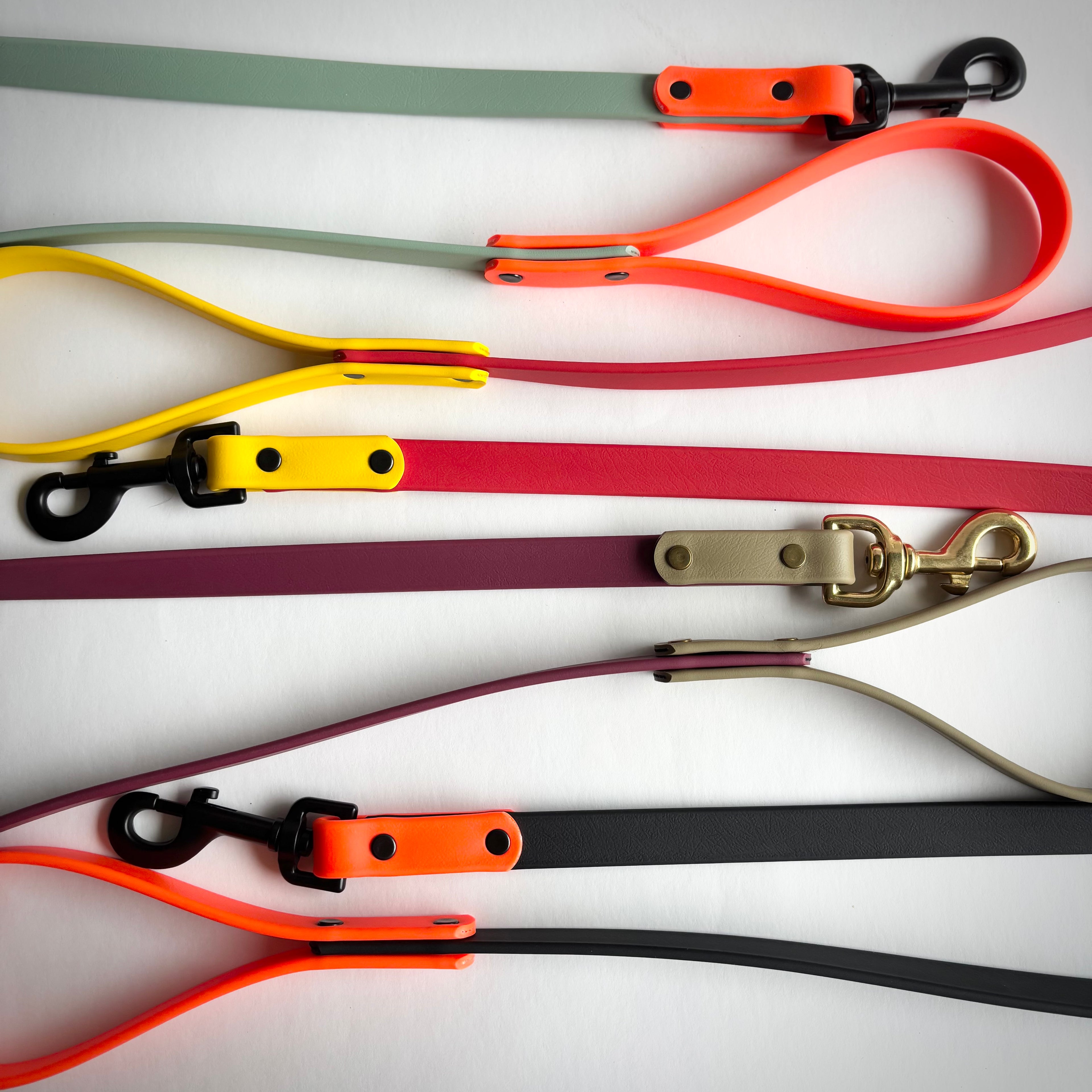 Two-Tone Dog Leash: Waterproof & Odor-Free Leash, Custom Colors