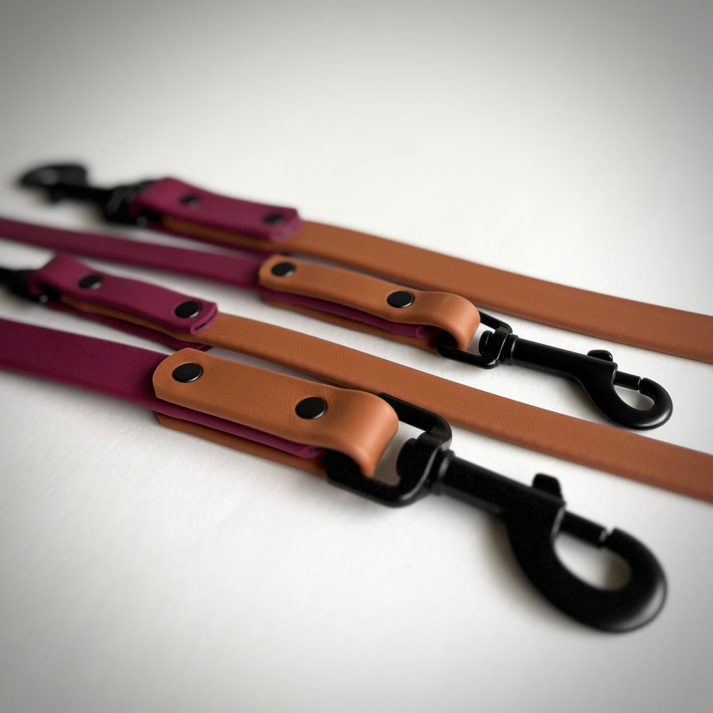 Two-Tone Dog Leash: Waterproof & Odor-Free Leash, Custom Colors