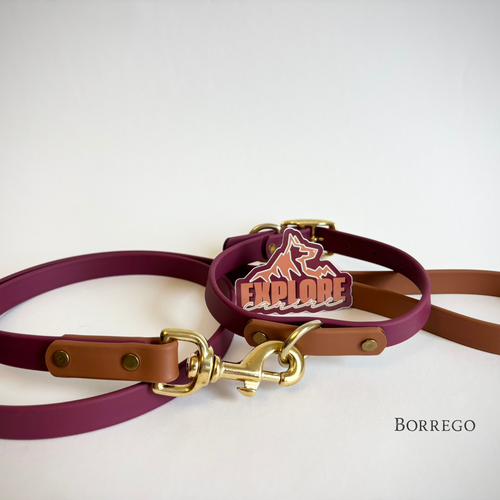 Borrego Destination Series: Leash and Collar SET