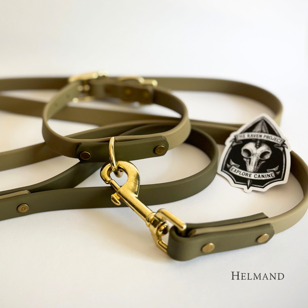 Helmand Destination Series: Leash and Collar SET