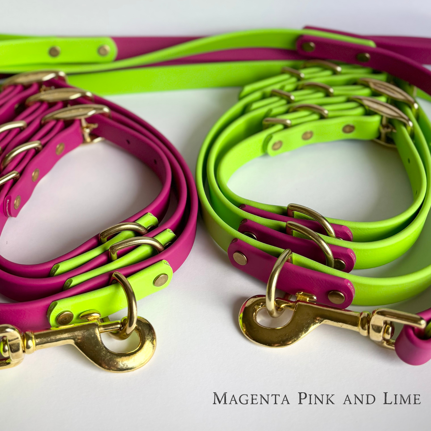 Two-Tone 3/4 Inch Dog Collar: Custom Colors, Waterproof, Odor-free, Biothane