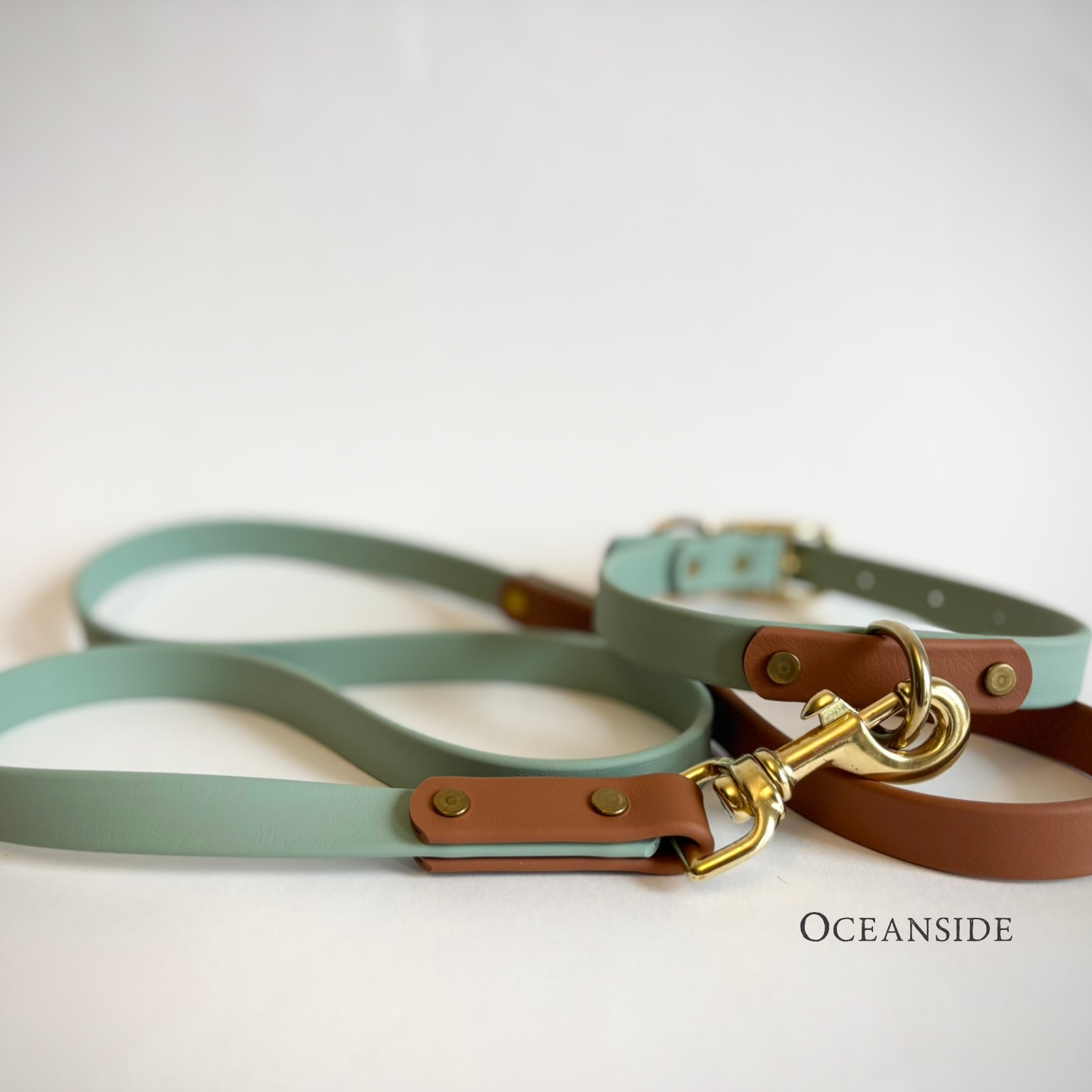 Oceanside Destination Series: Leash and Collar SET