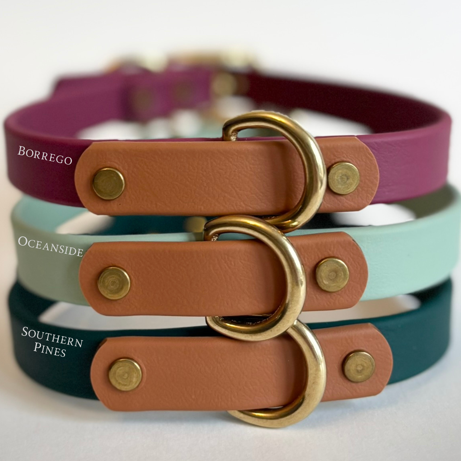 Borrego Destination Series: Leash and Collar SET