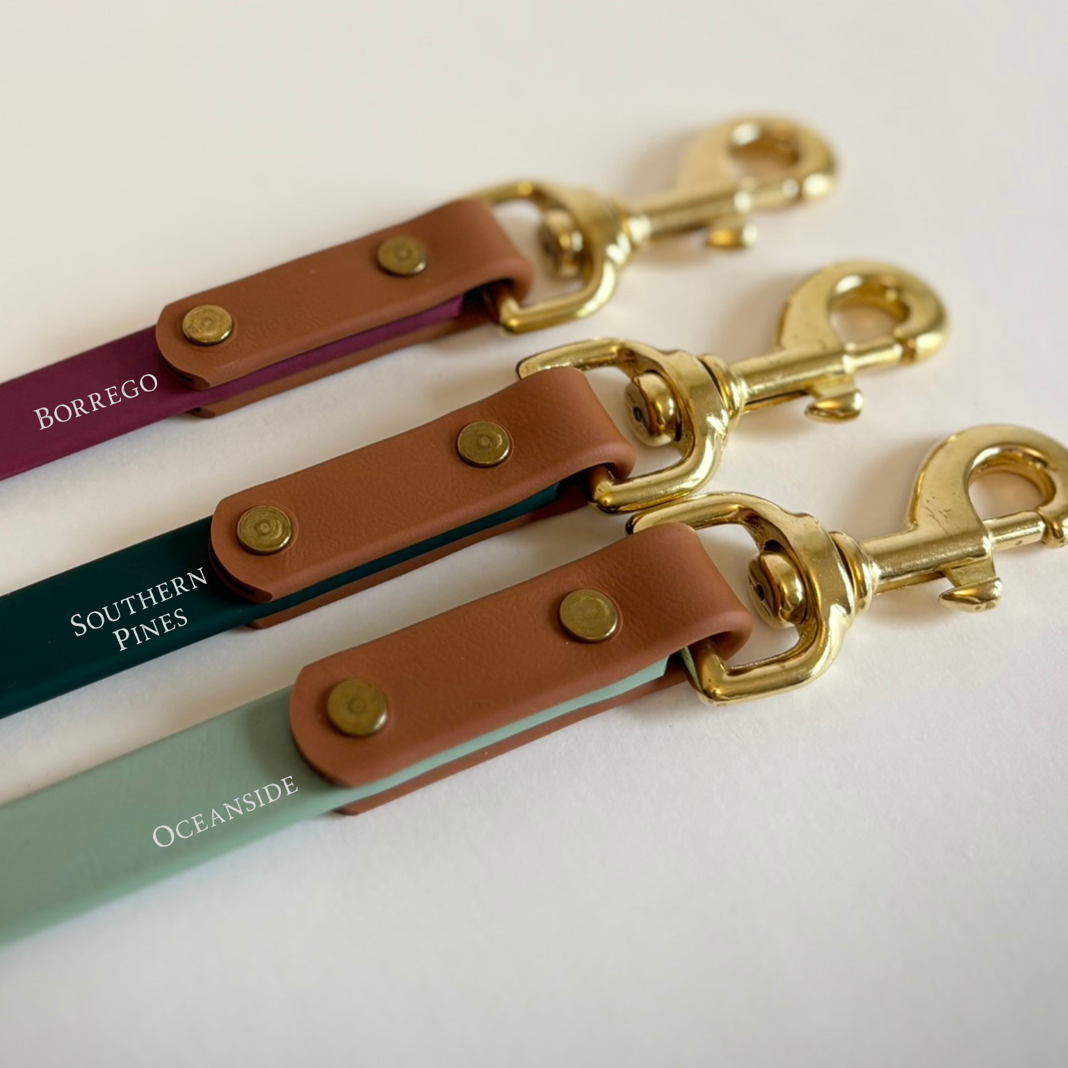 Borrego Destination Series: Leash and Collar SET
