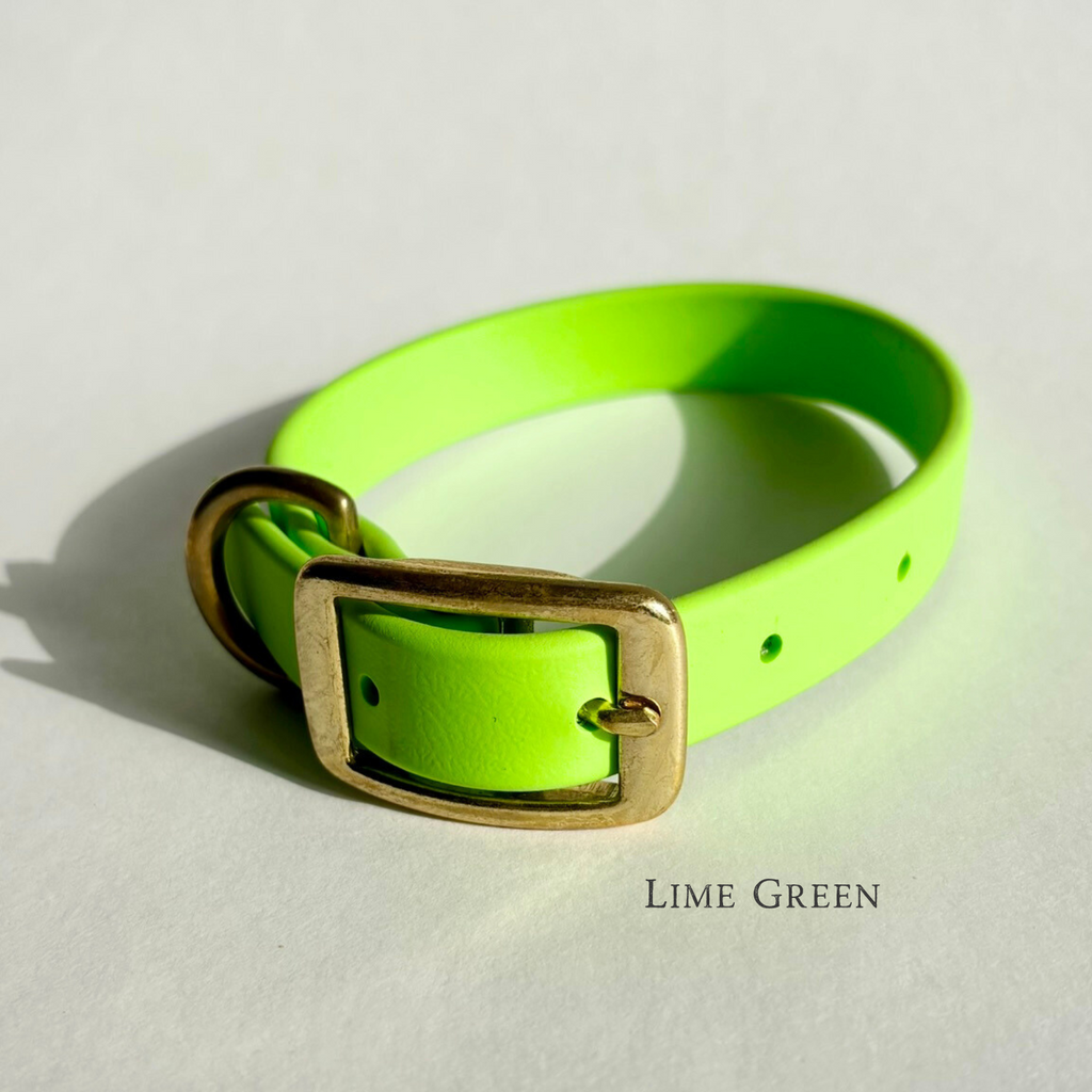 Single-Tone 3/4 Inch Dog Collar: Waterproof, Odor-Free, Biothane