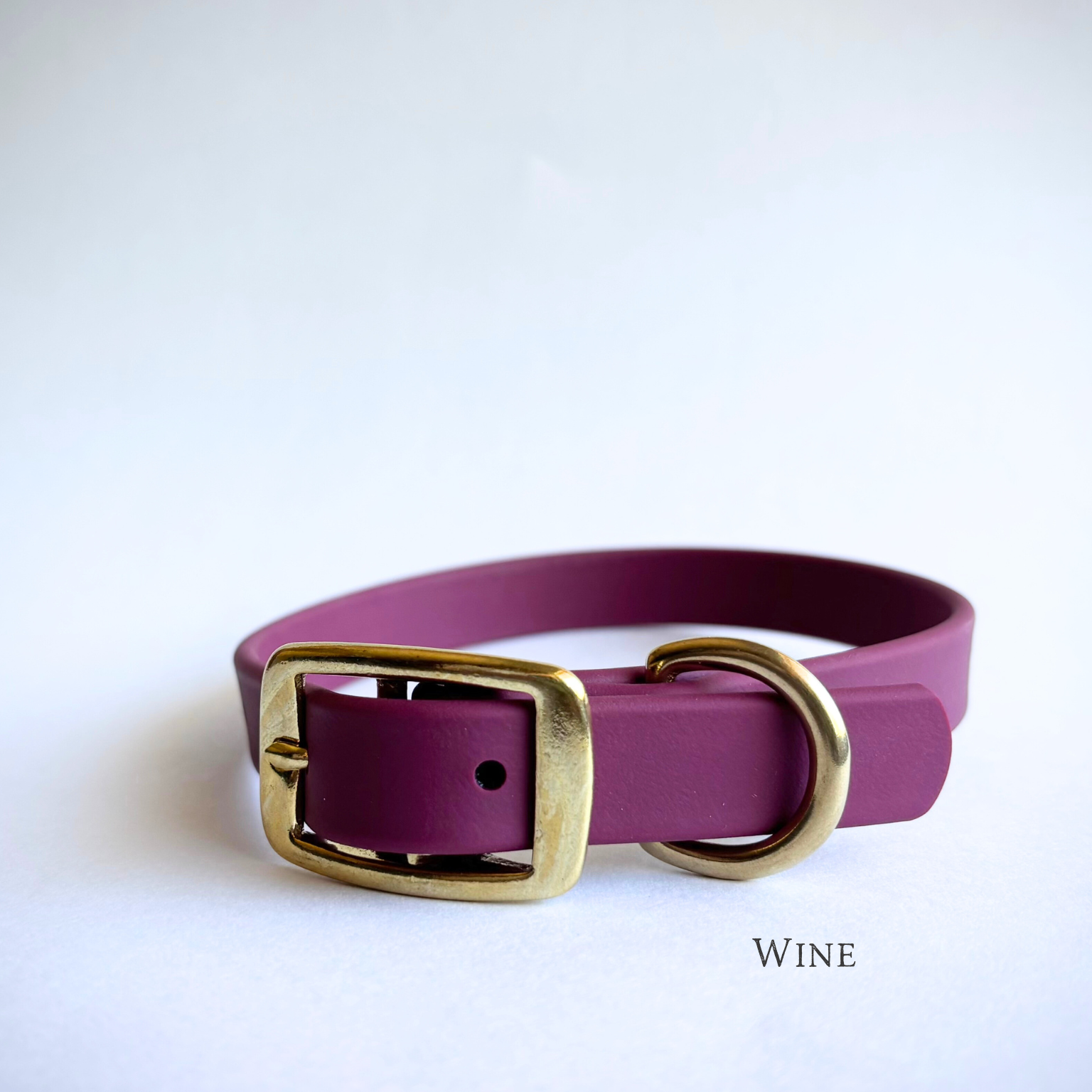 Single-Tone 3/4 Inch Dog Collar: Waterproof, Odor-Free, Biothane