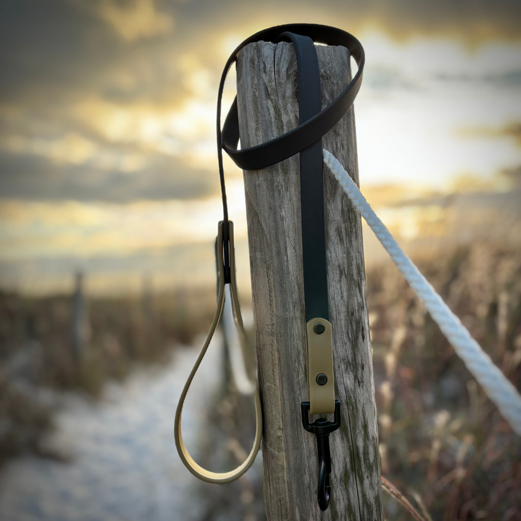 Two-Tone Dog Leash: Waterproof & Odor-Free Leash, Custom Colors