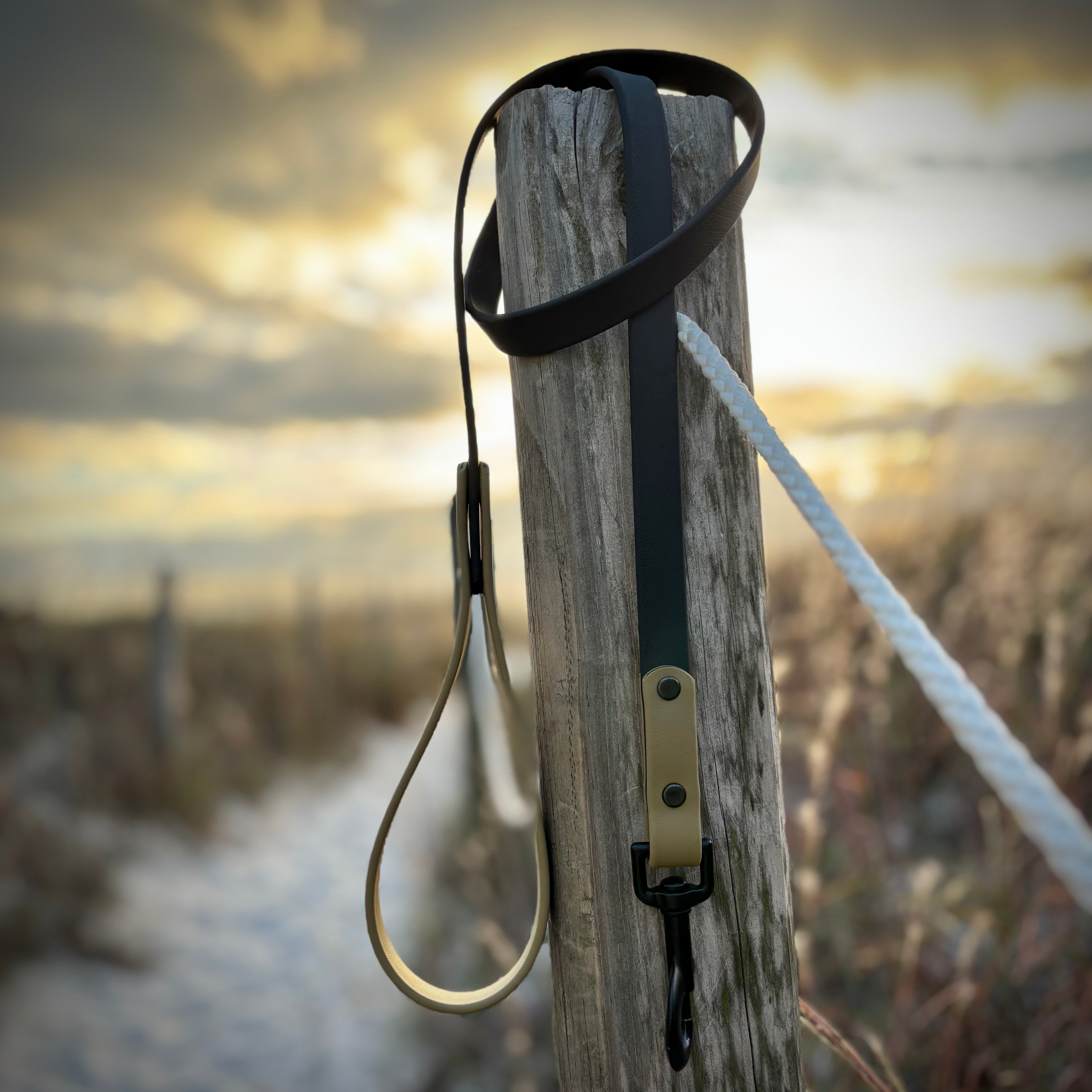 Two-Tone Dog Leash: Waterproof & Odor-Free Leash, Custom Colors