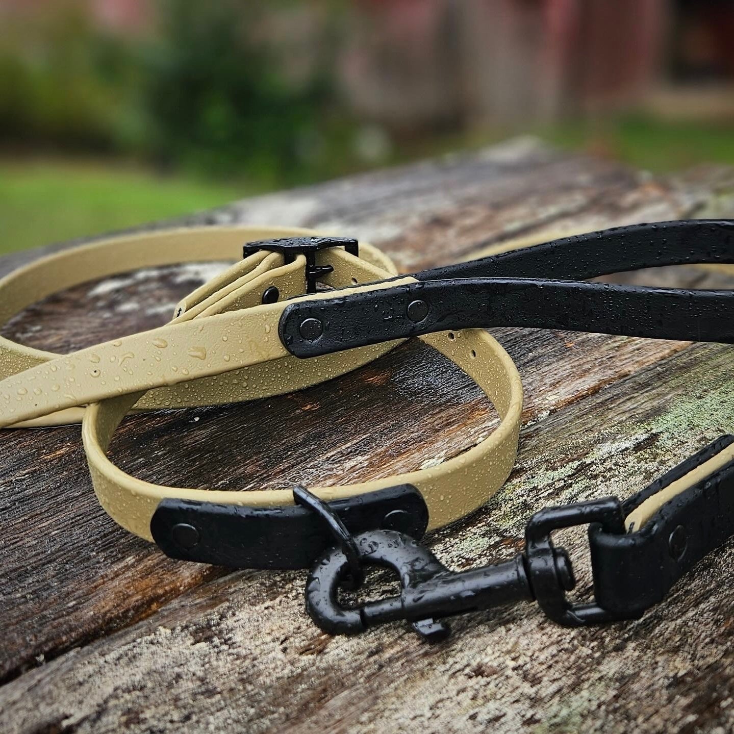 Two-Tone Dog Leash: Waterproof & Odor-Free Leash, Custom Colors