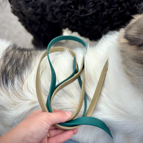 Two-Tone Dog Leash: Waterproof & Odor-Free Leash, Custom Colors