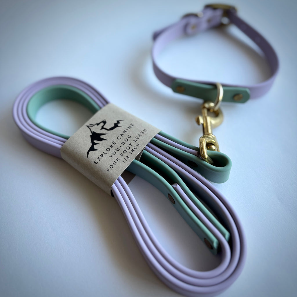 Two-Tone Dog Leash: Waterproof & Odor-Free Leash, Custom Colors