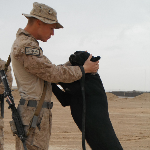 Helmand Destination Series: Leash and Collar SET