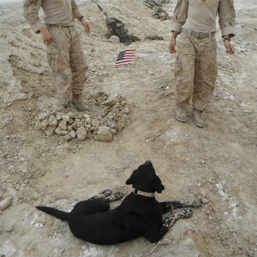 Helmand Destination Series: Leash and Collar SET