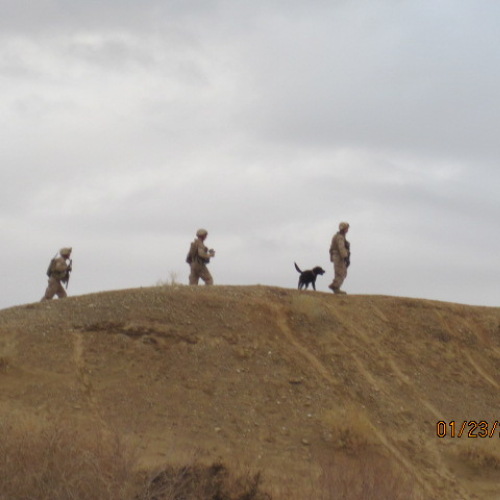 Helmand Destination Series: Leash and Collar SET