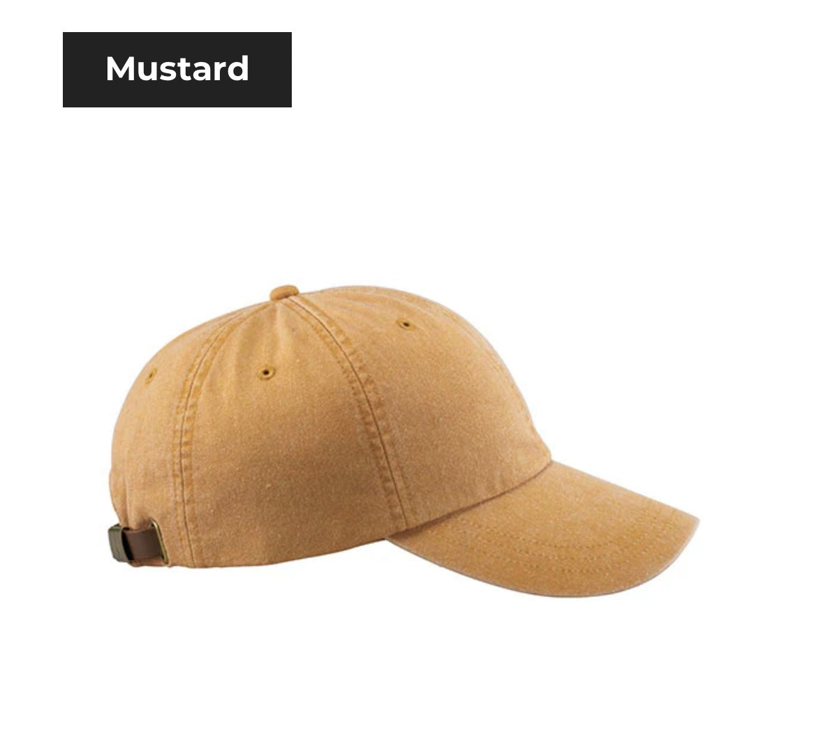 Explore Canine Destination Series Hat