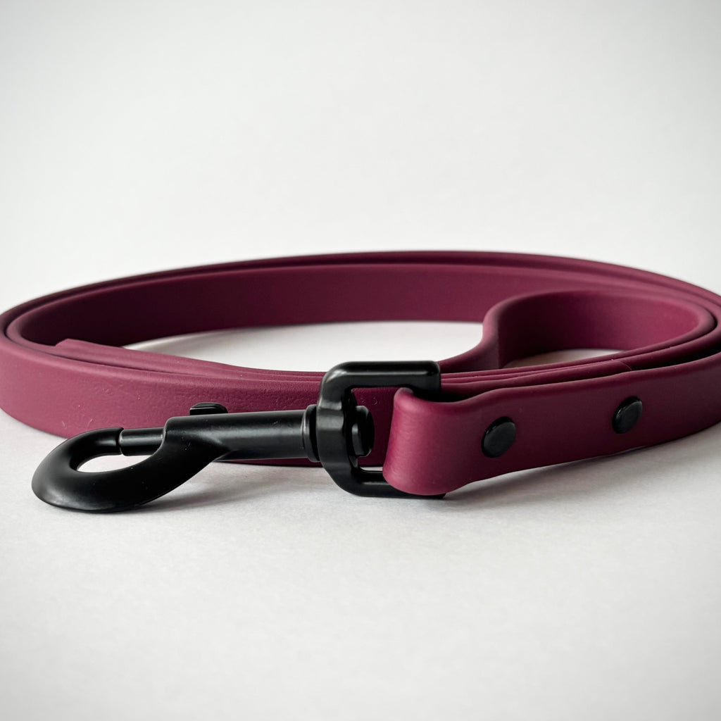 Single-Tone 3/4 Inch 6 Foot Dog Leash: Waterproof, Odor-Free, Biothane