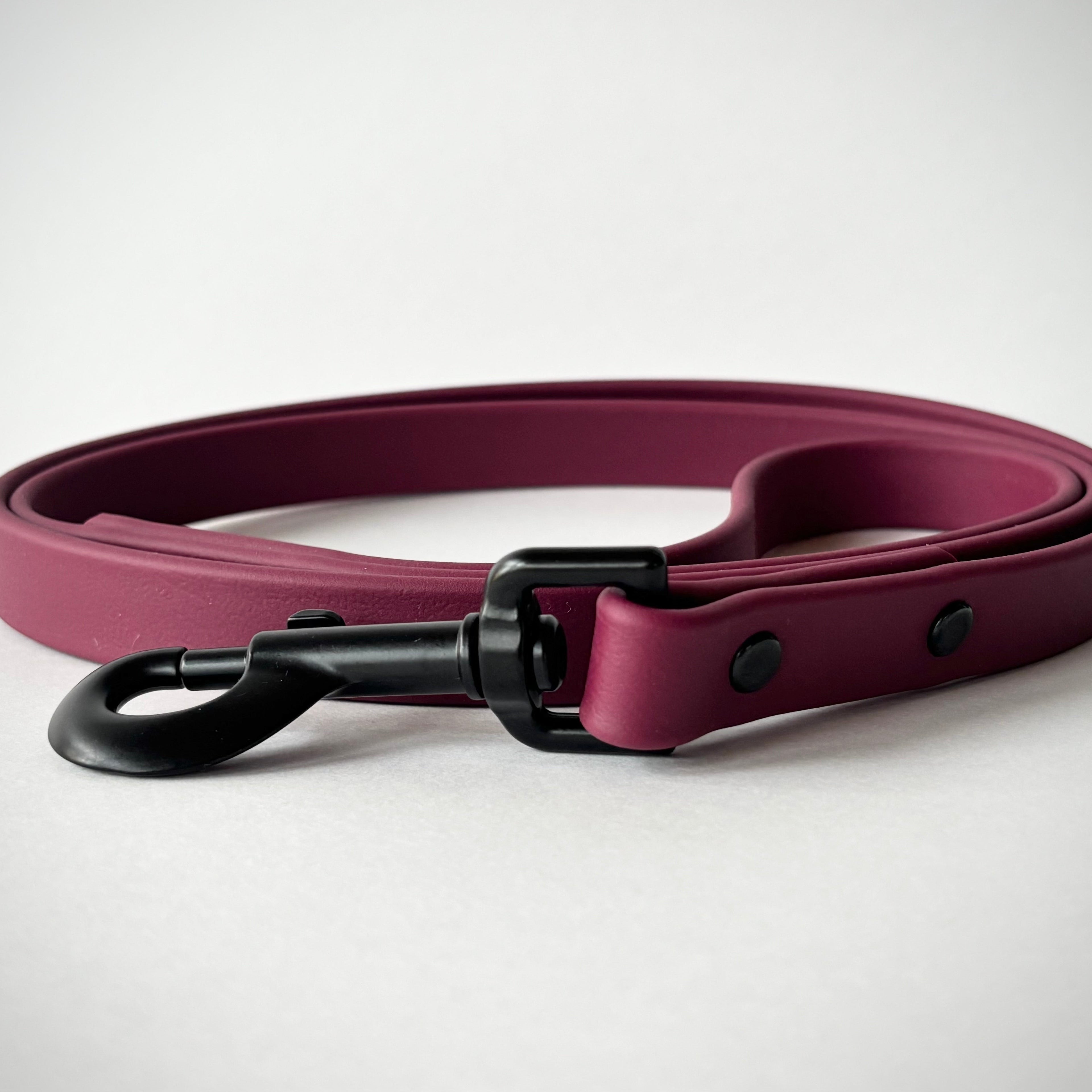 Single-Tone 3/4 Inch 6 Foot Dog Leash: Waterproof, Odor-Free, Biothane