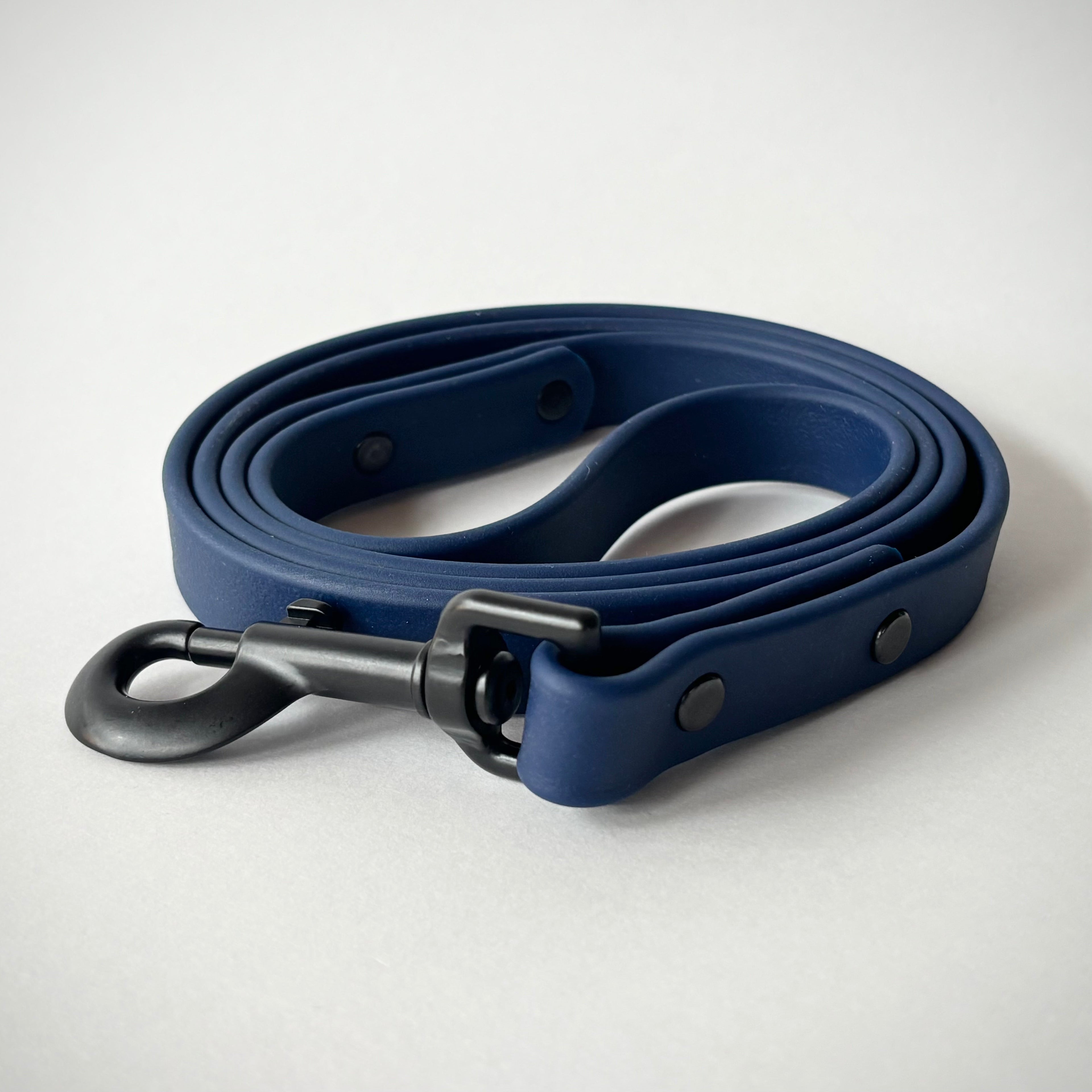 Single-Tone 3/4 Inch 6 Foot Dog Leash: Waterproof, Odor-Free, Biothane