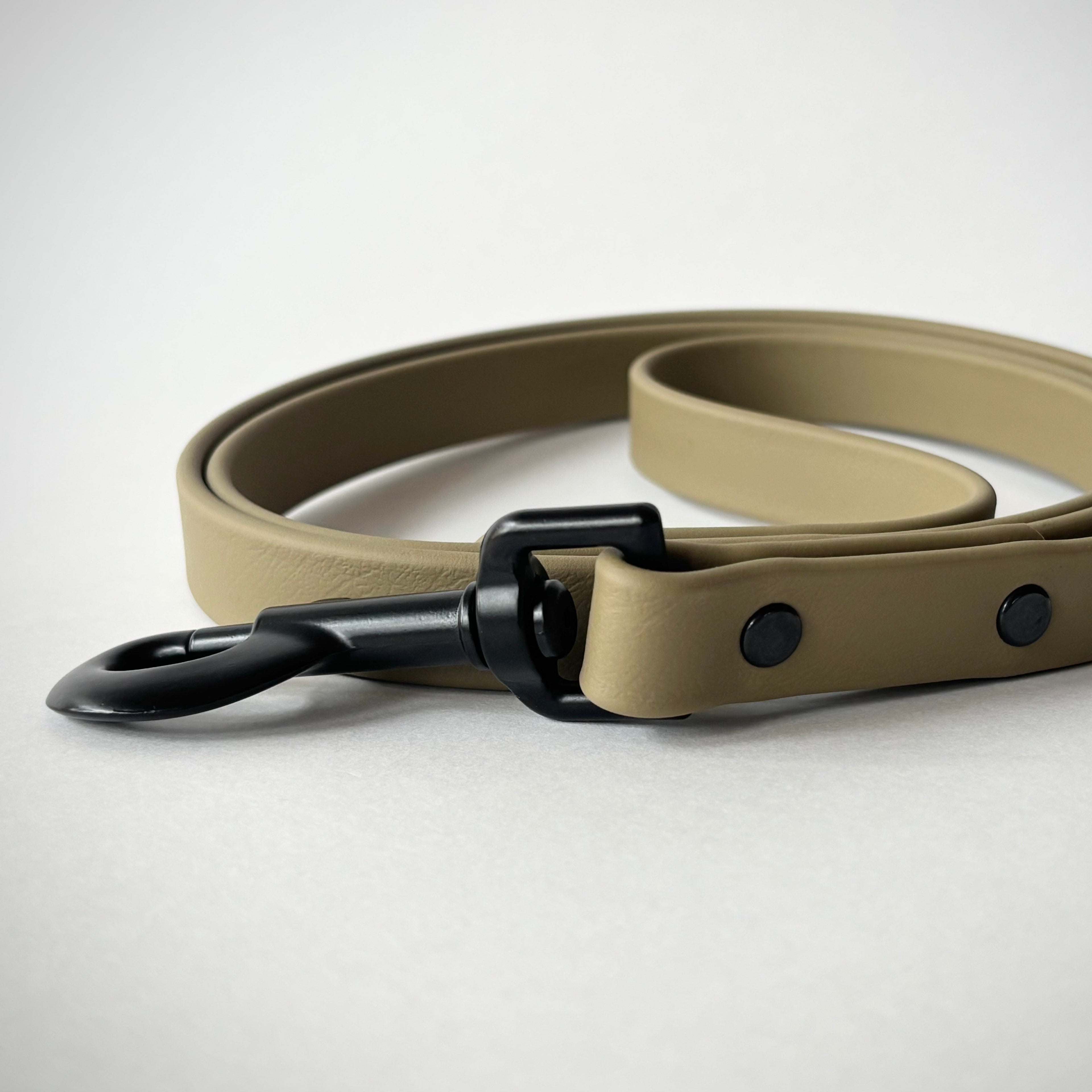 Single-Tone 3/4 Inch 6 Foot Dog Leash: Waterproof, Odor-Free, Biothane