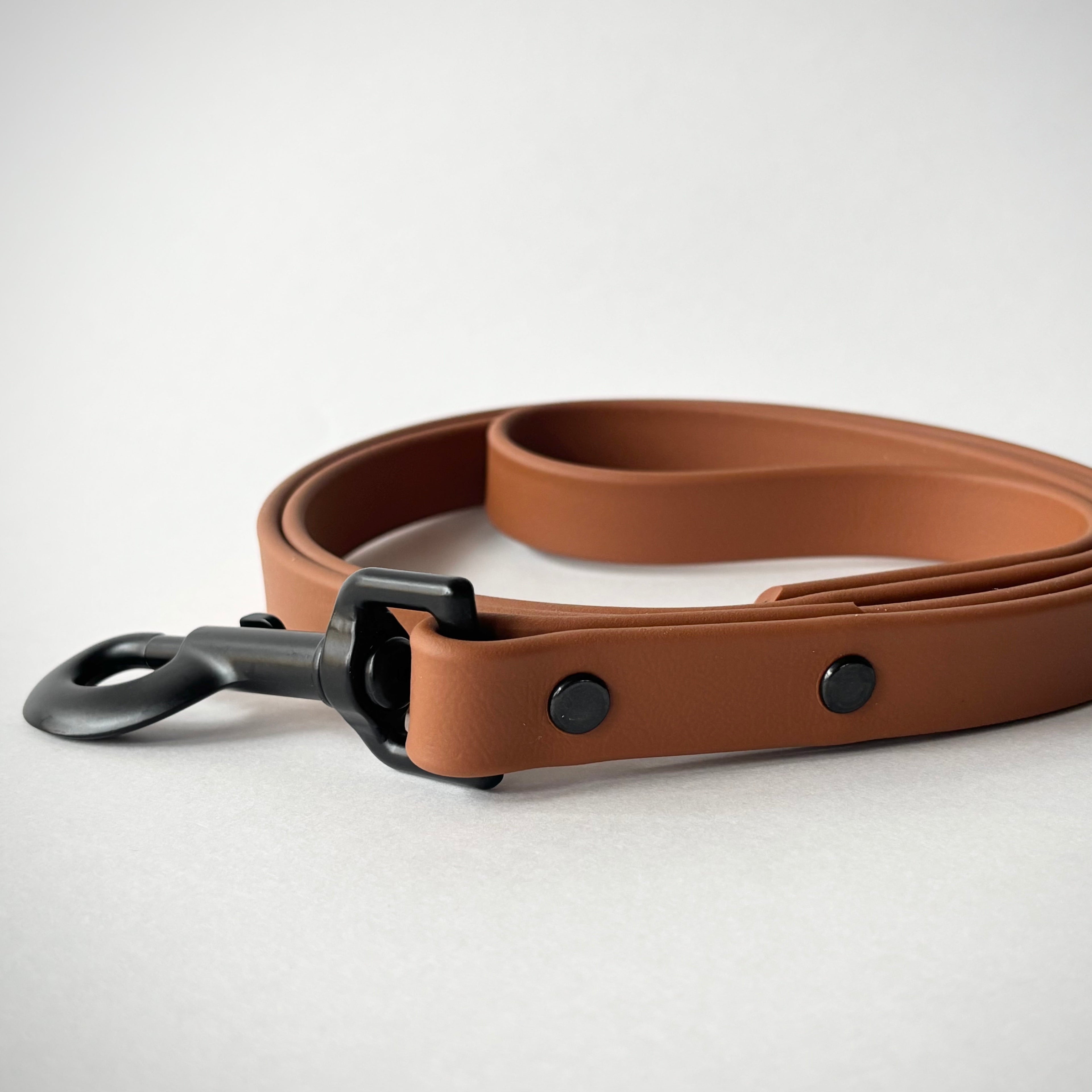 Single-Tone 3/4 Inch 6 Foot Dog Leash: Waterproof, Odor-Free, Biothane