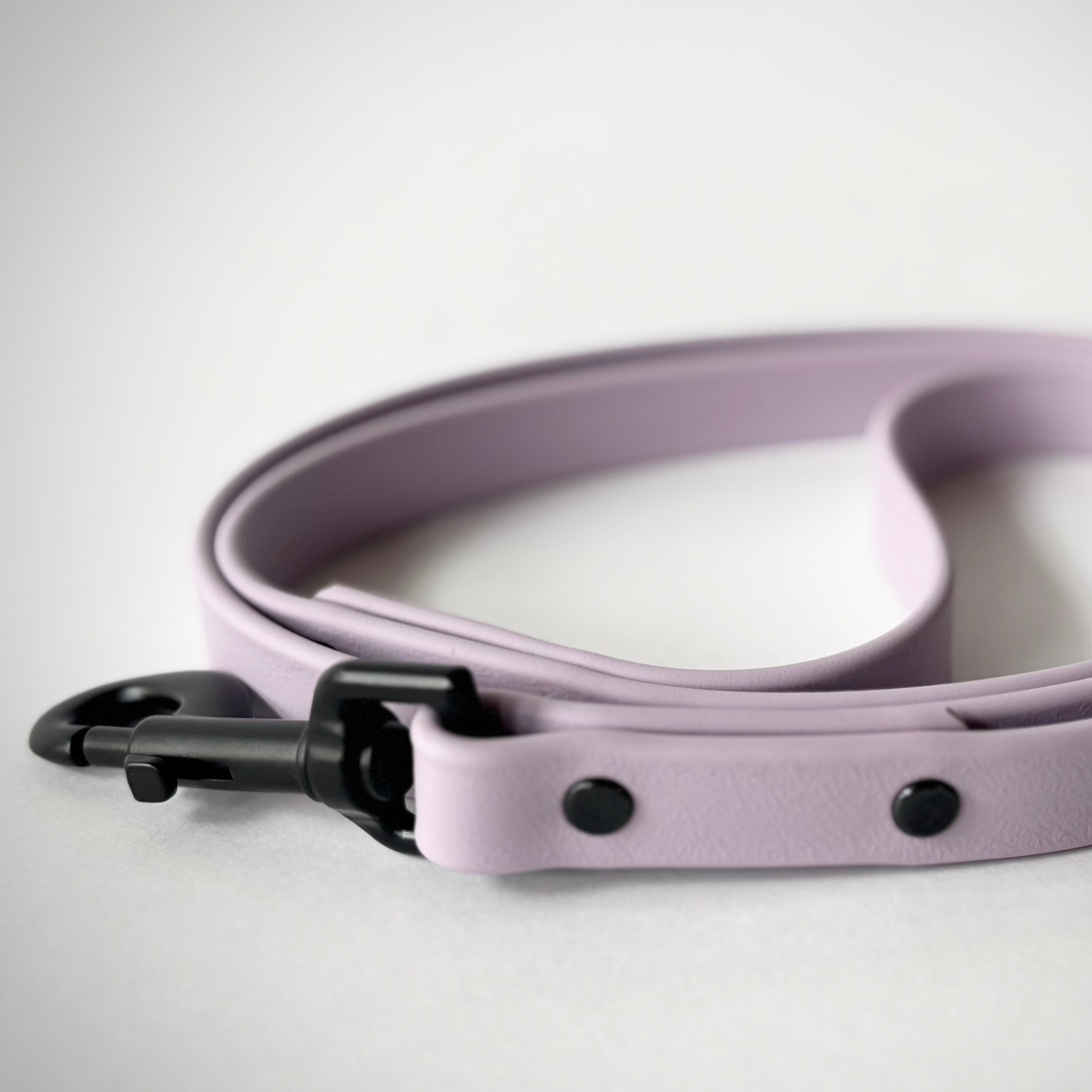 Single-Tone 3/4 Inch 6 Foot Dog Leash: Waterproof, Odor-Free, Biothane