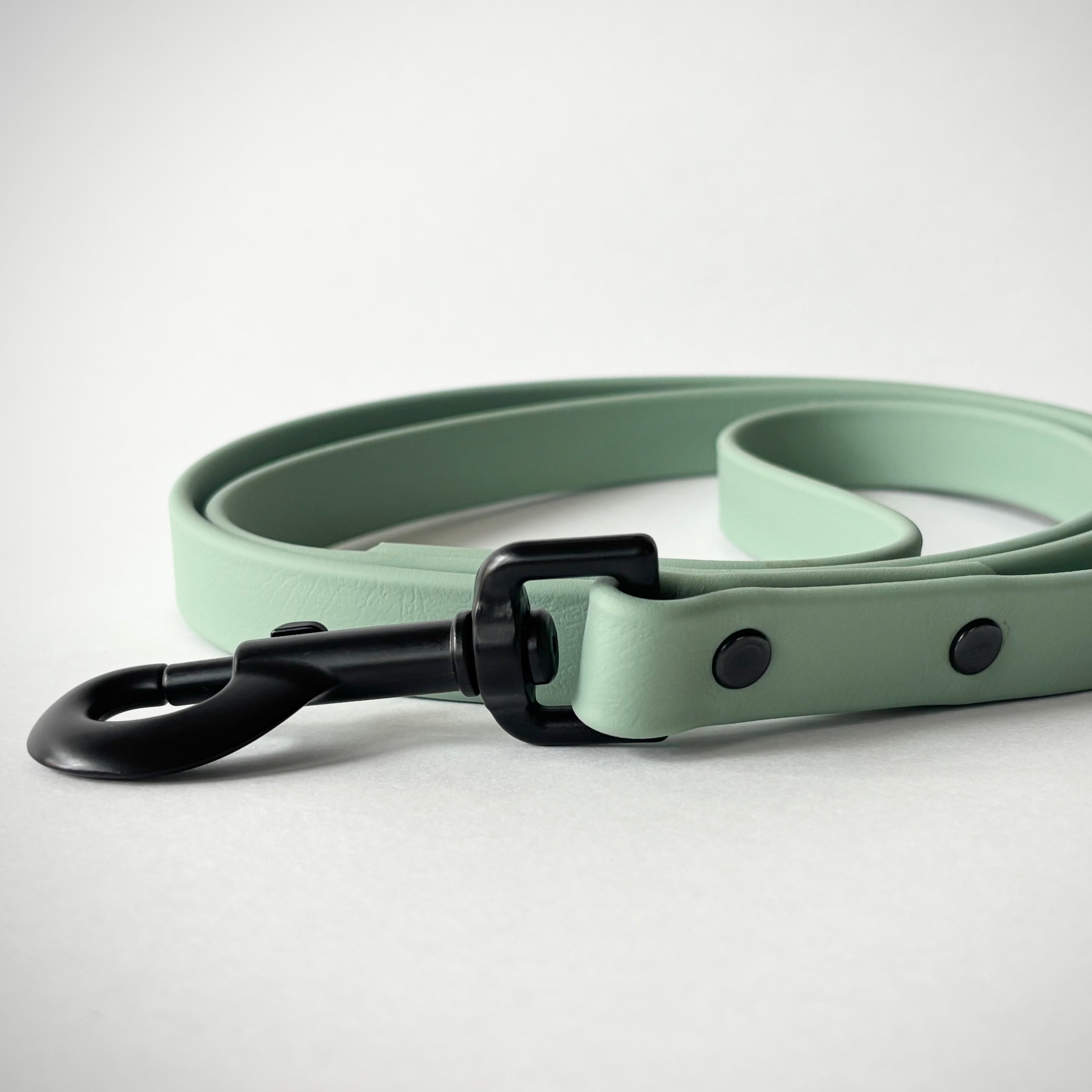 Single-Tone 3/4 Inch 6 Foot Dog Leash: Waterproof, Odor-Free, Biothane