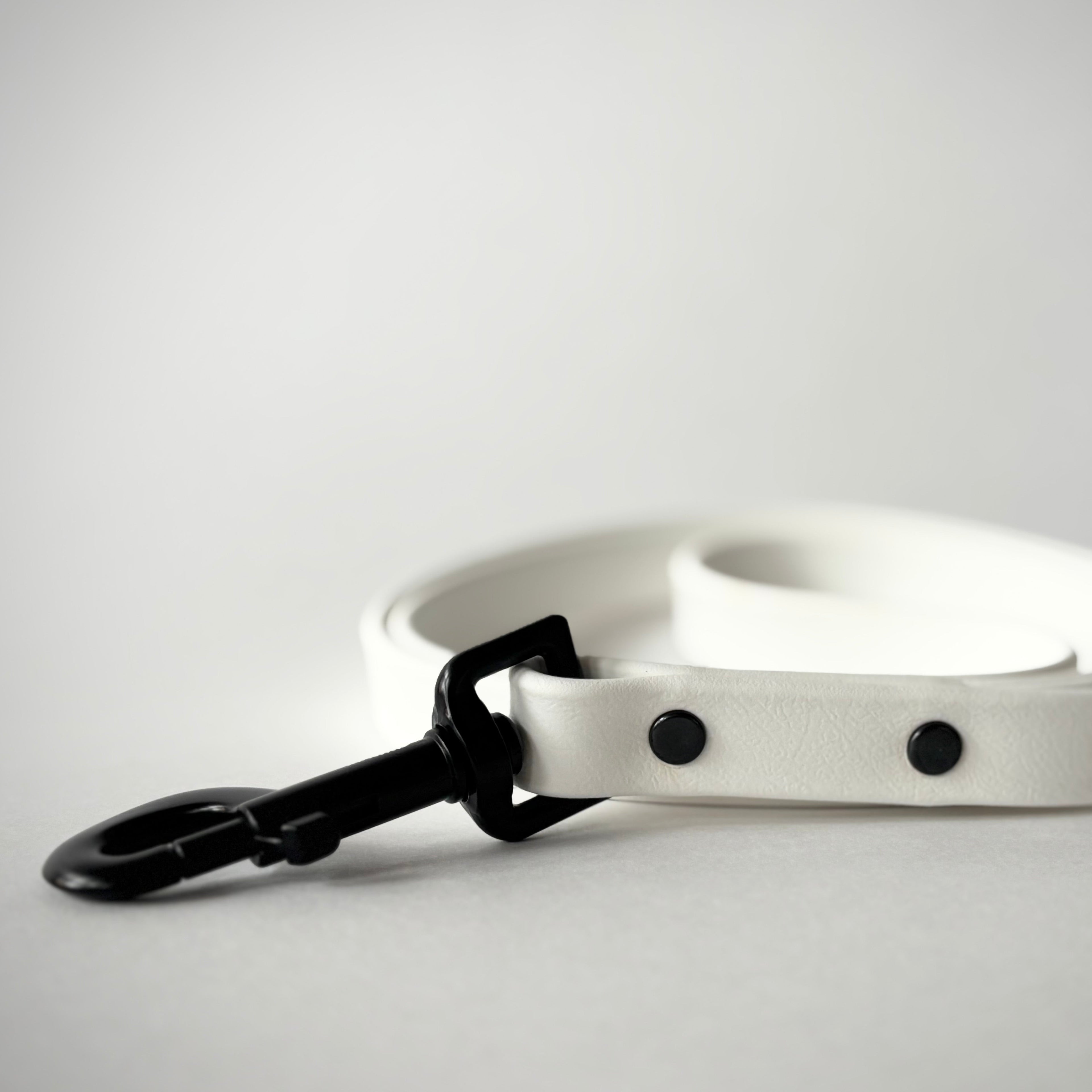 Single-Tone 3/4 Inch 6 Foot Dog Leash: Waterproof, Odor-Free, Biothane