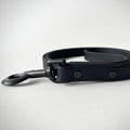 Single-Tone 3/4 Inch 6 Foot Dog Leash: Waterproof, Odor-Free, Biothane