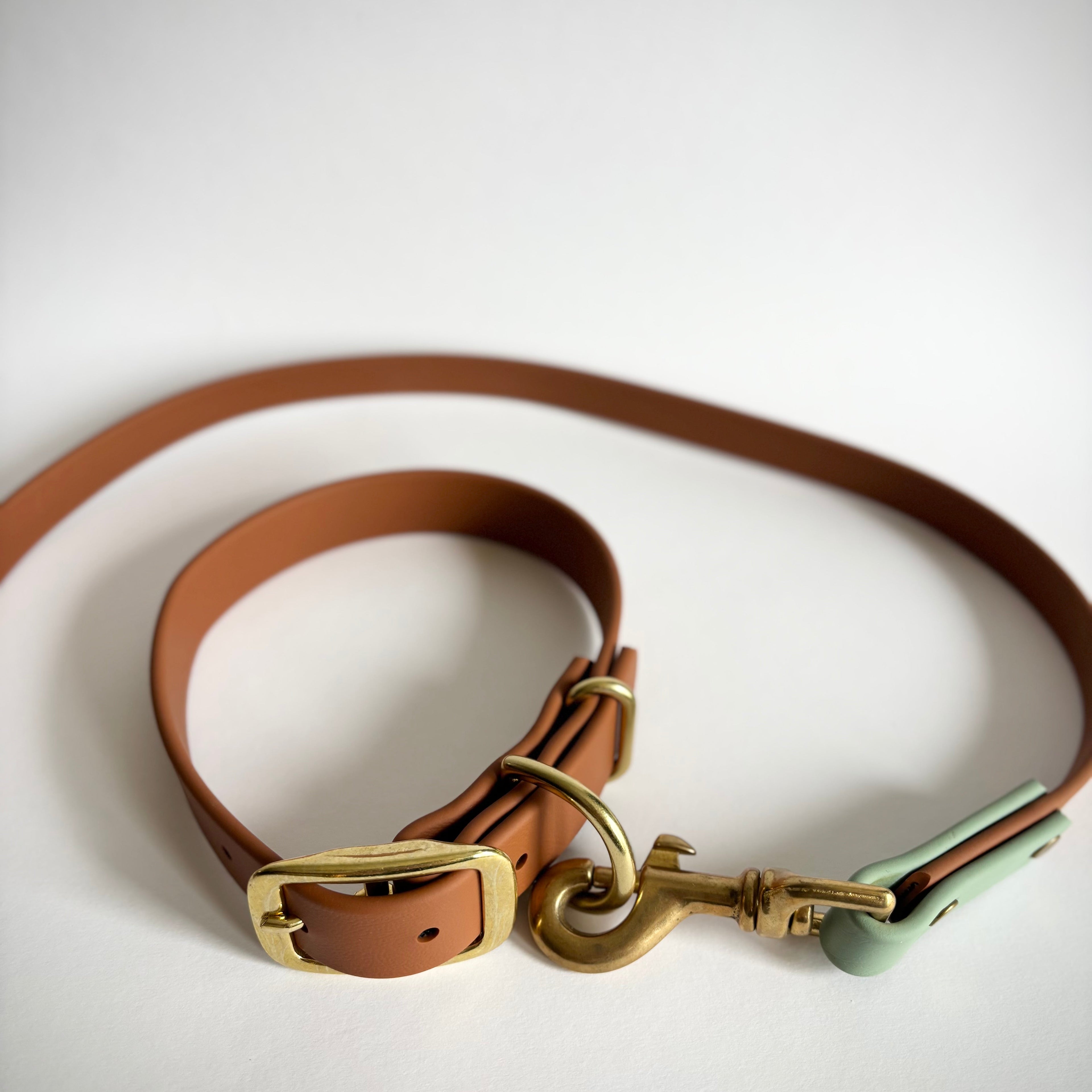 Single-Tone 1 Inch Dog Collar: Waterproof, Odor-Free, Biothane