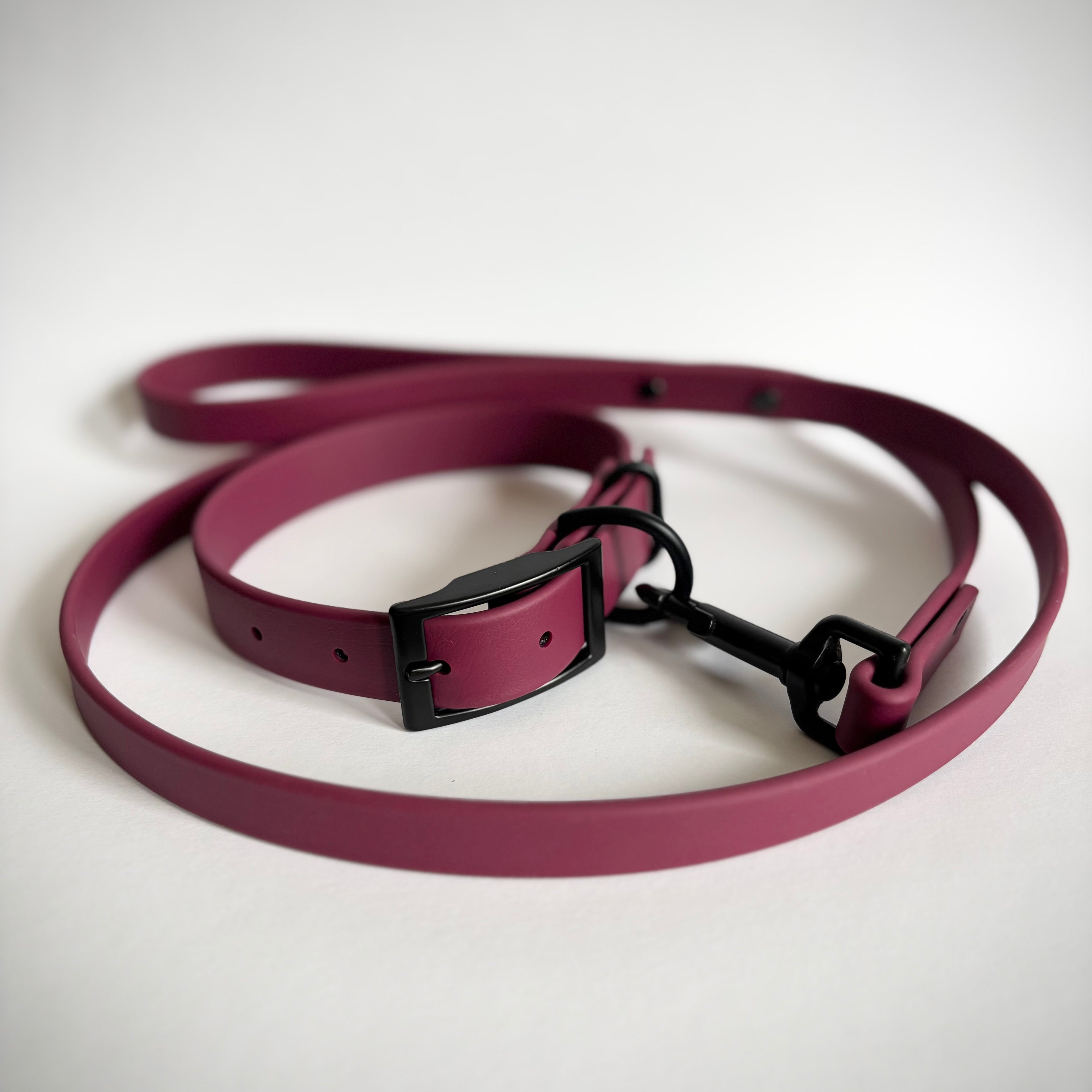 Single-Tone 1 Inch Dog Collar: Waterproof, Odor-Free, Biothane