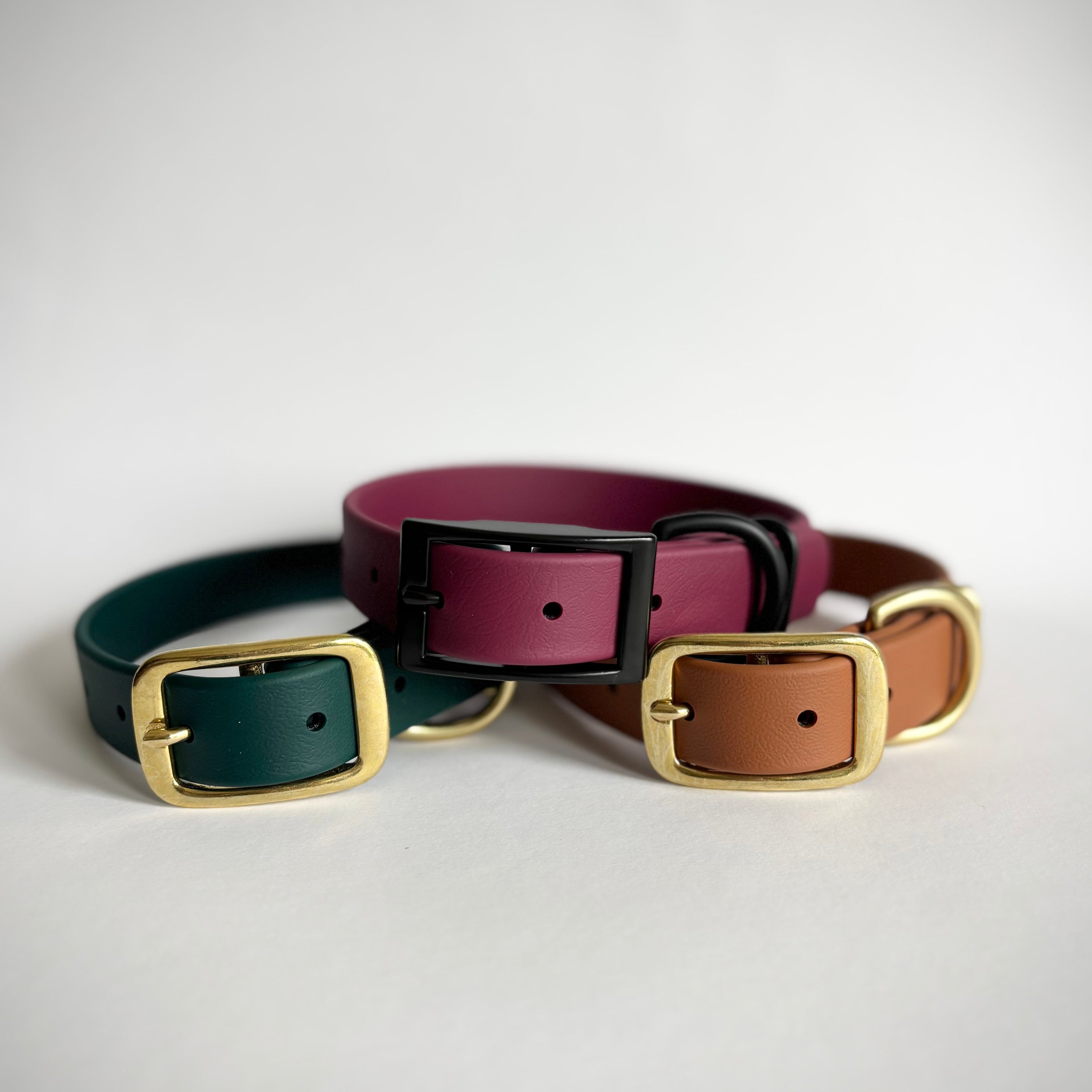 Single-Tone 1 Inch Dog Collar: Waterproof, Odor-Free, Biothane