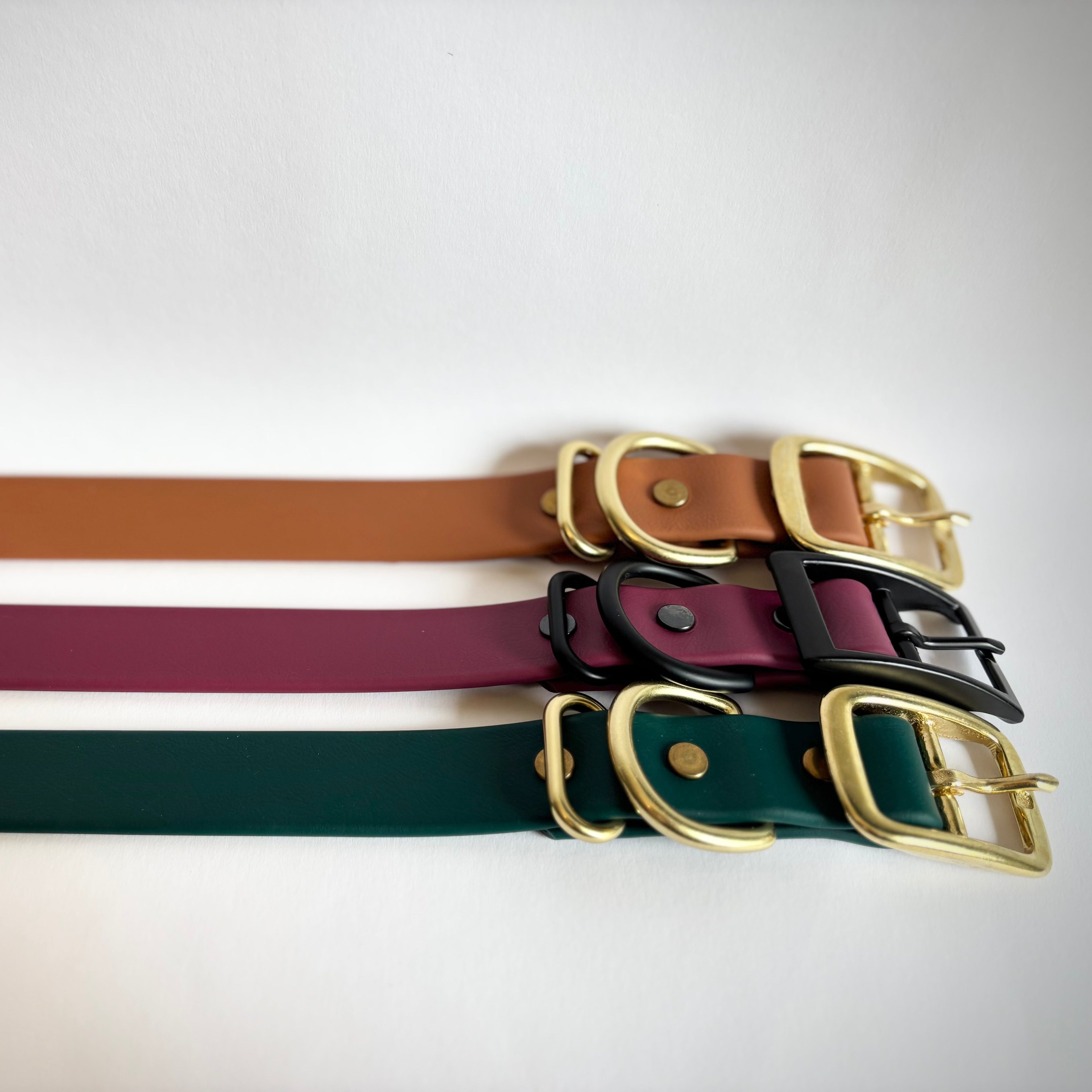 Single-Tone 1 Inch Dog Collar: Waterproof, Odor-Free, Biothane