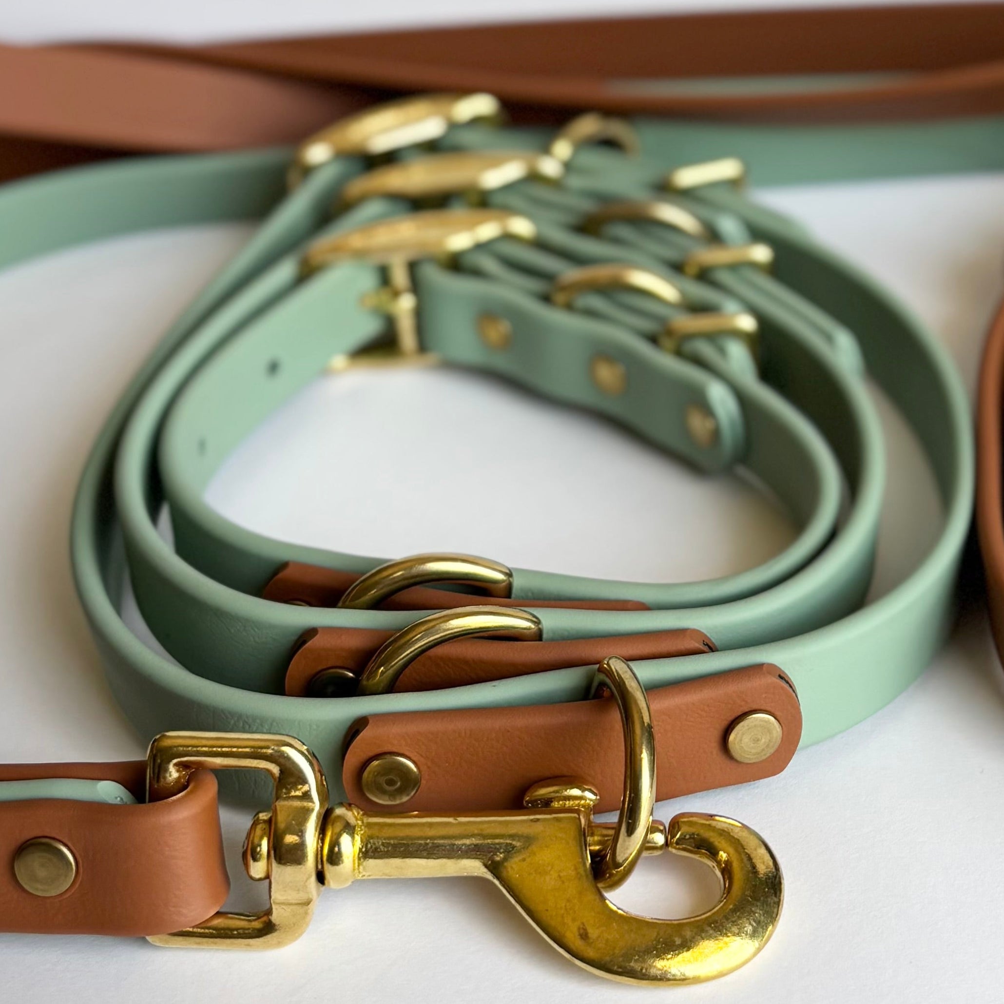 Oceanside Destination Series: Leash and Collar SET
