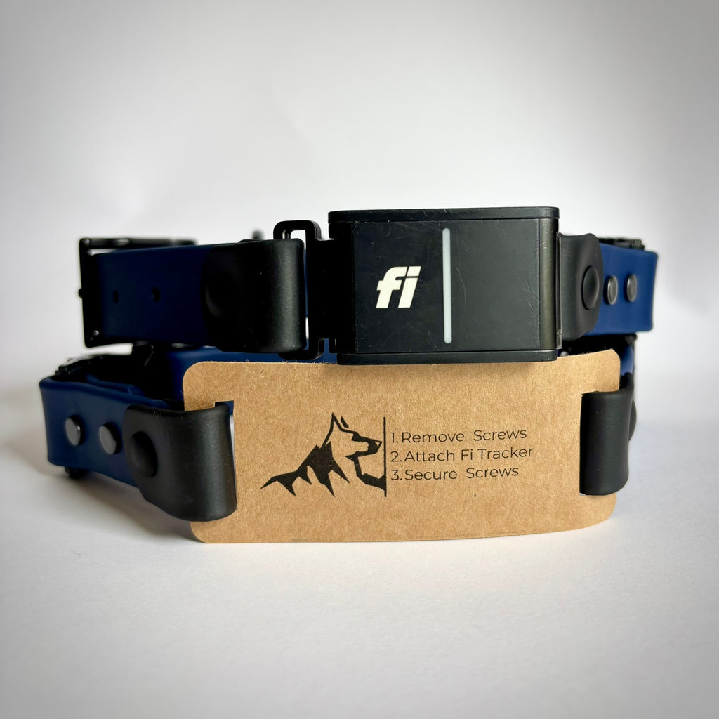 Fi Compatible 1” Quick Release Dog Collar | Waterproof BioThane | Adjustable Replacement Strap | Black Hardware | Made in USA
