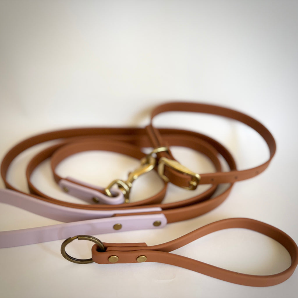 Waterproof BioThane Keychain + Lanyard