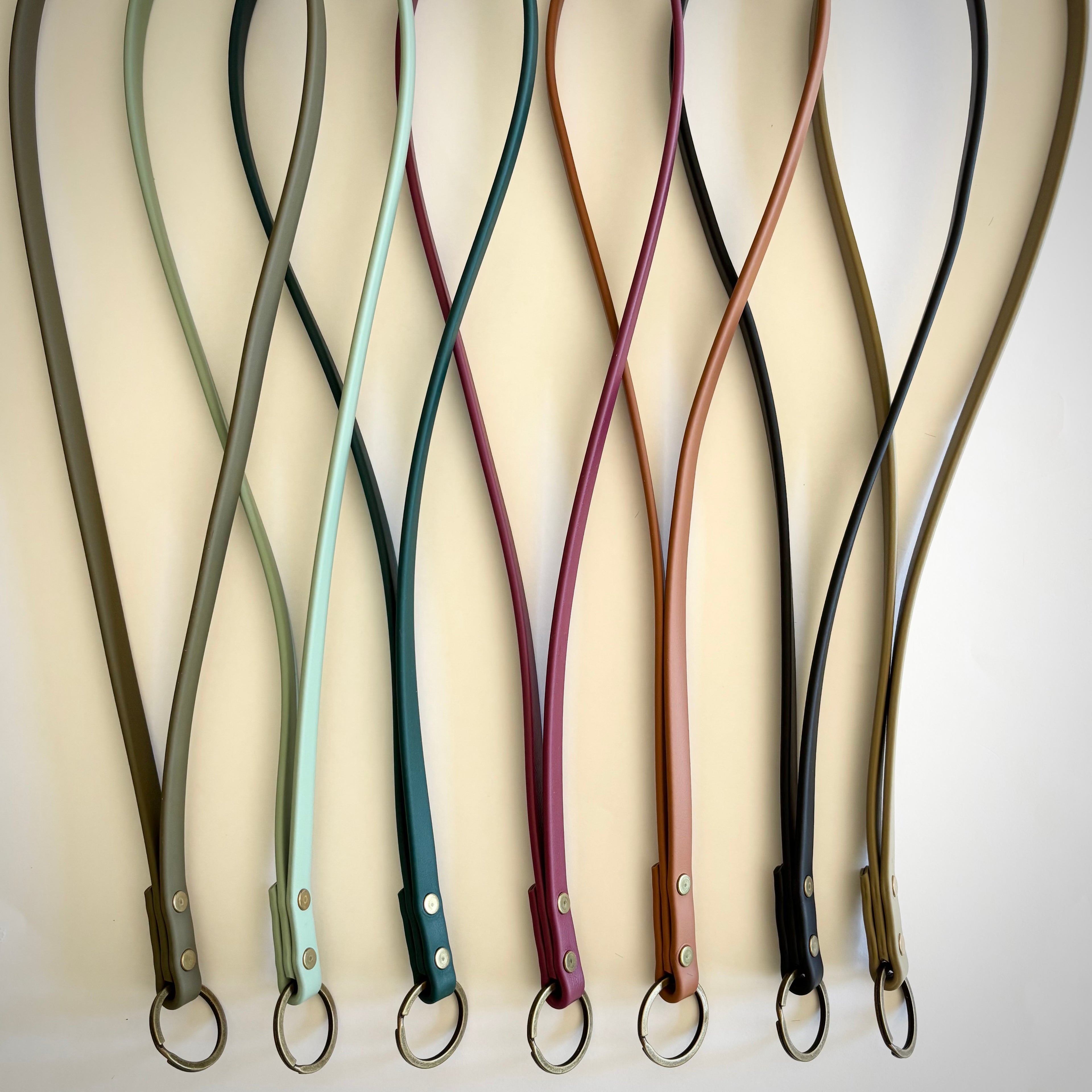Waterproof BioThane Keychain + Lanyard
