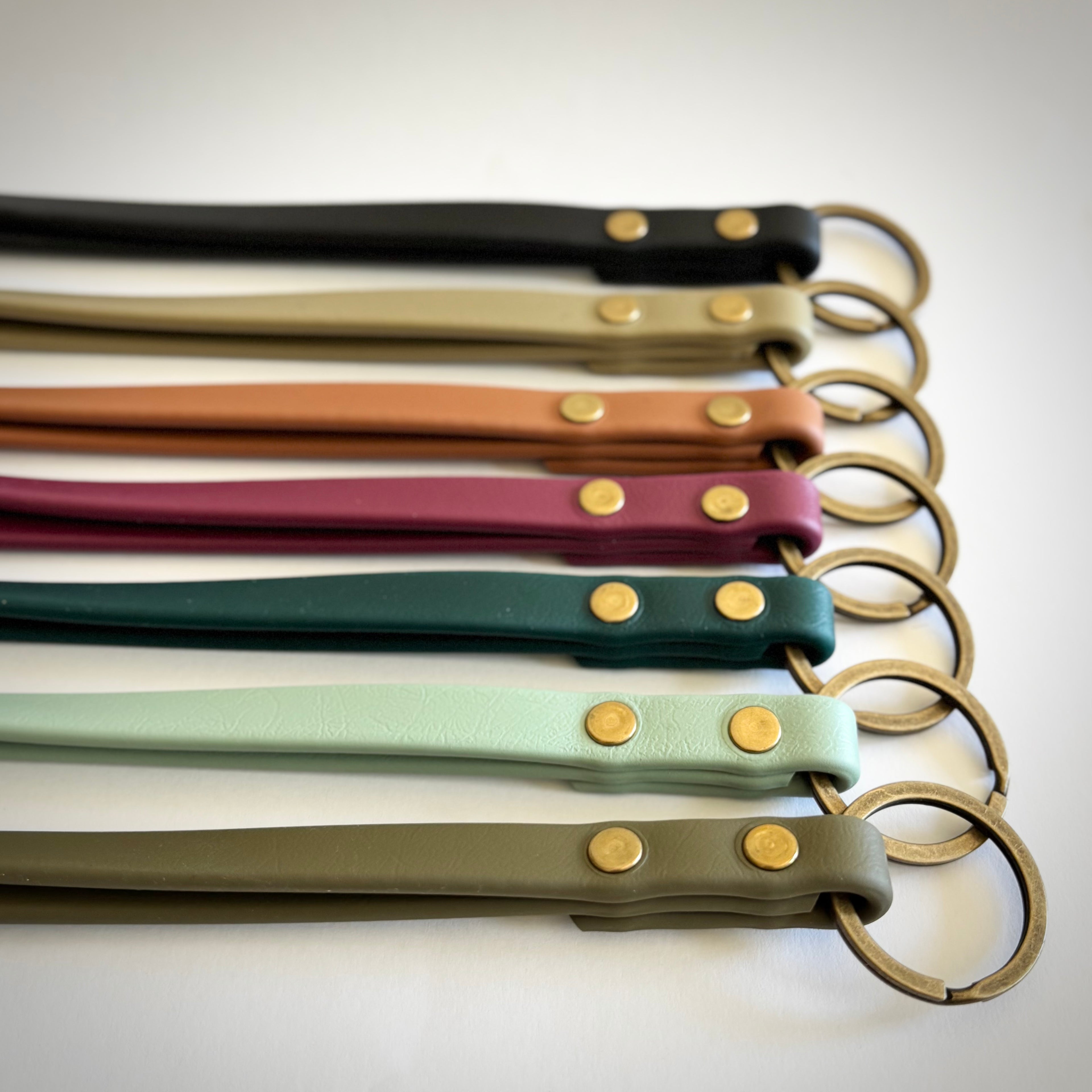 Waterproof BioThane Keychain + Lanyard
