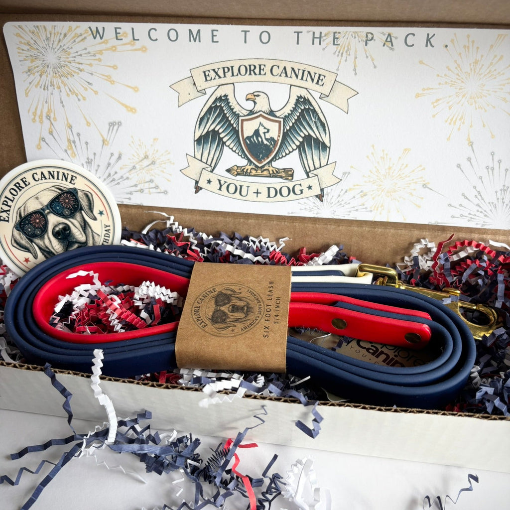 July 4th Leash and Collar Set