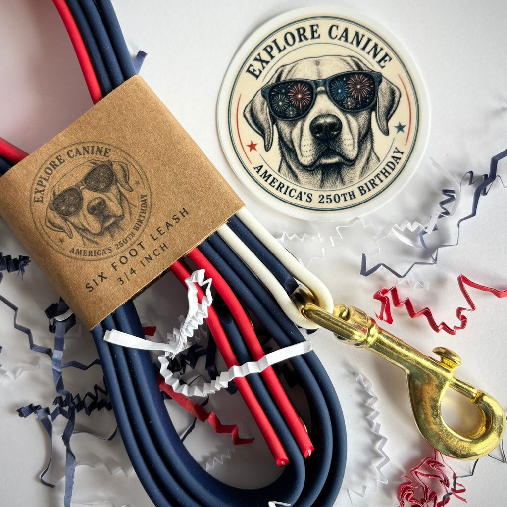 July 4th Leash and Collar Set