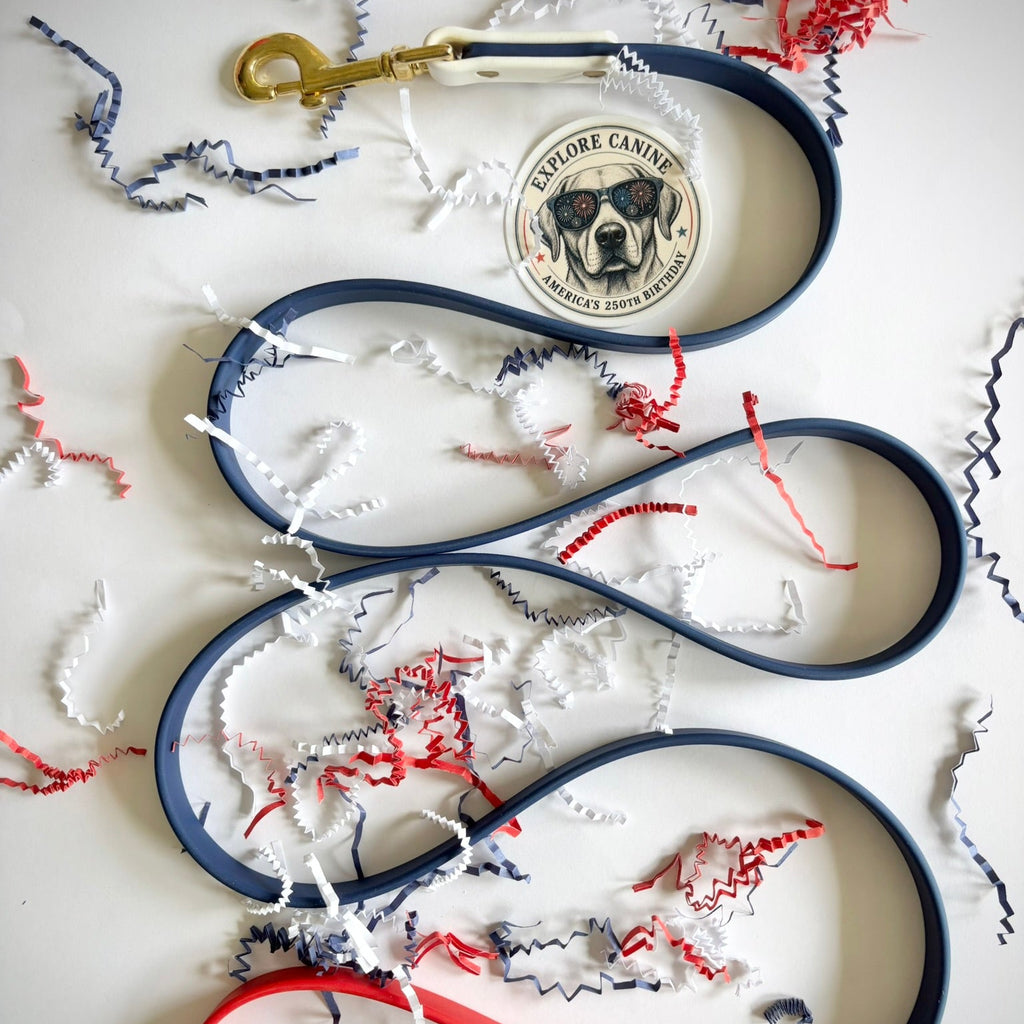 July 4th Leash and Collar Set